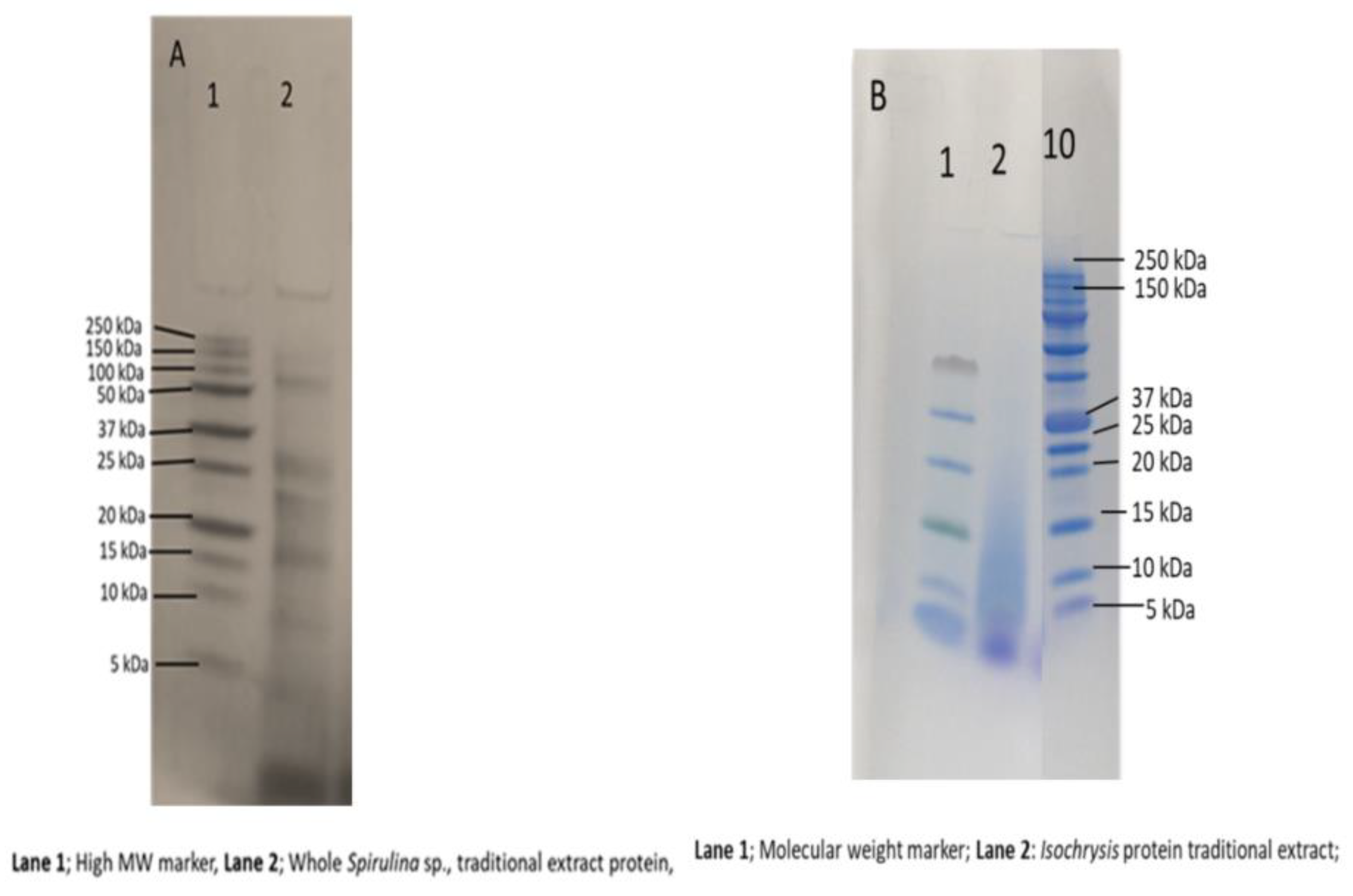 Applsci 11 03964 g003 Applsci 11 03964 g003