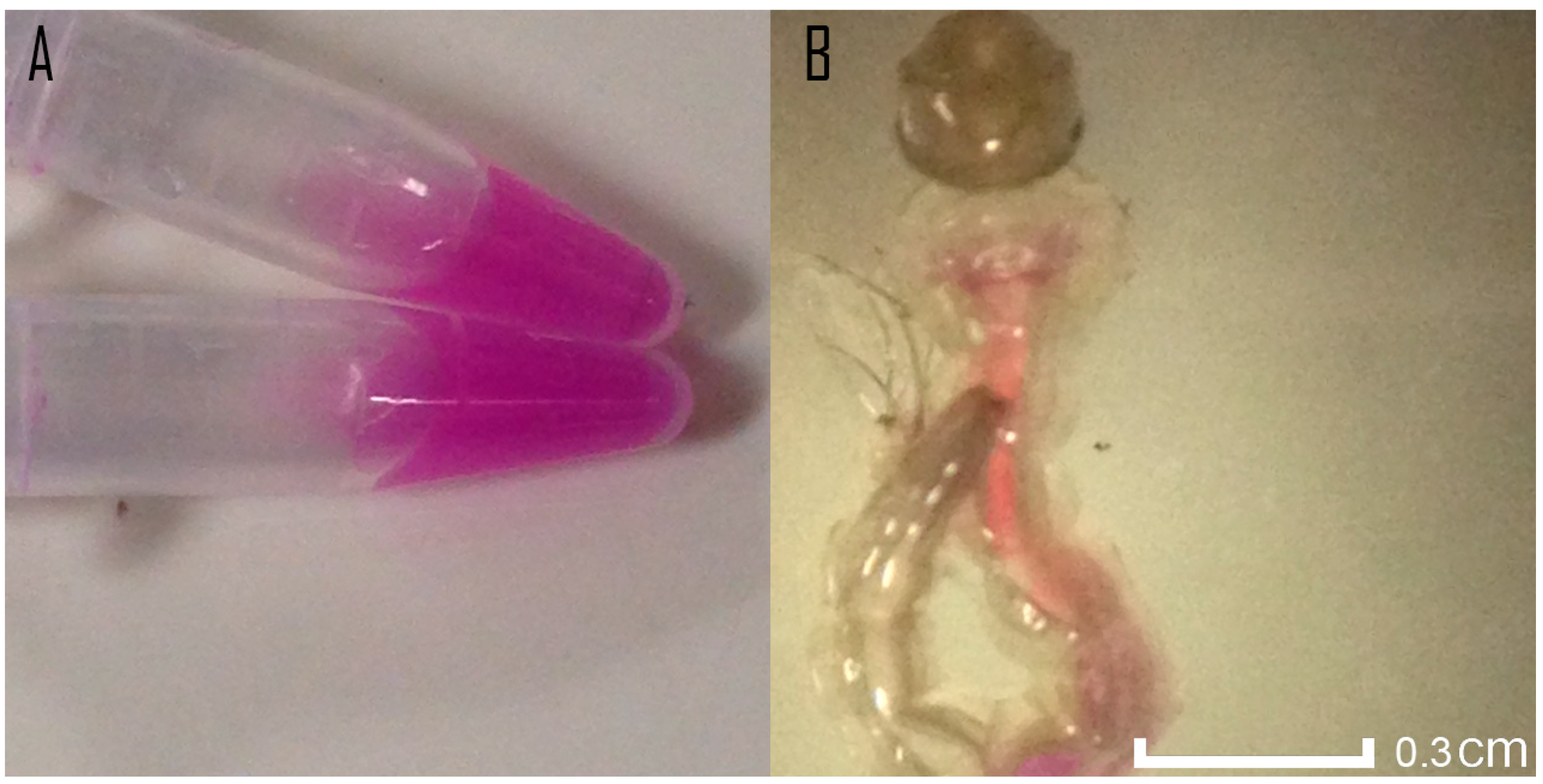 Applsci 11 03970 g001 Applsci 11 03970 g001