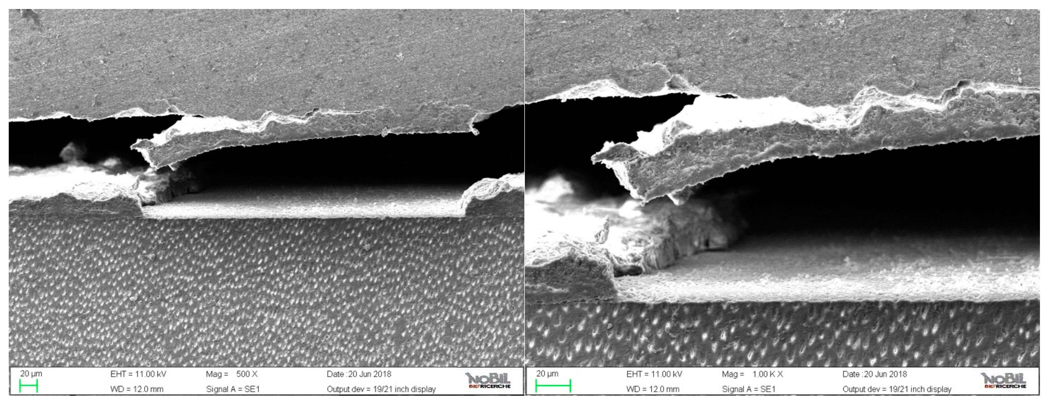 Applsci 11 03971 g003 Applsci 11 03971 g003