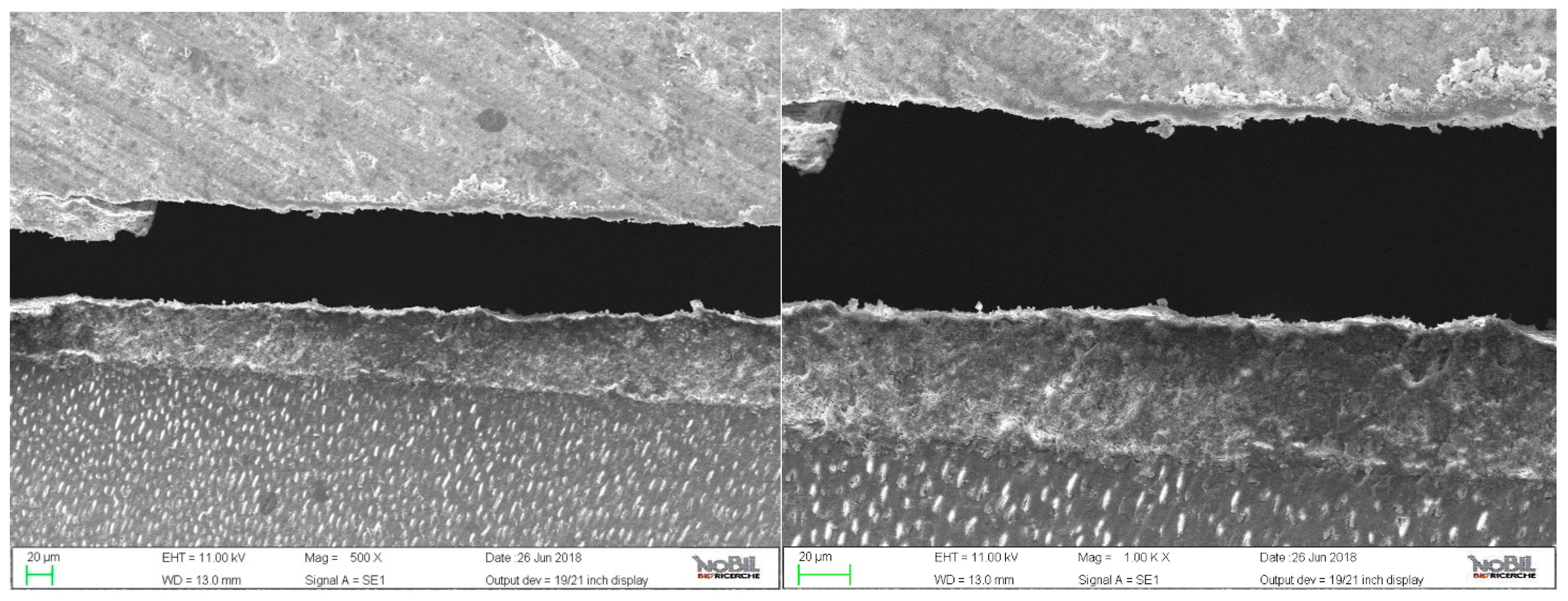 Applsci 11 03971 g004 Applsci 11 03971 g004