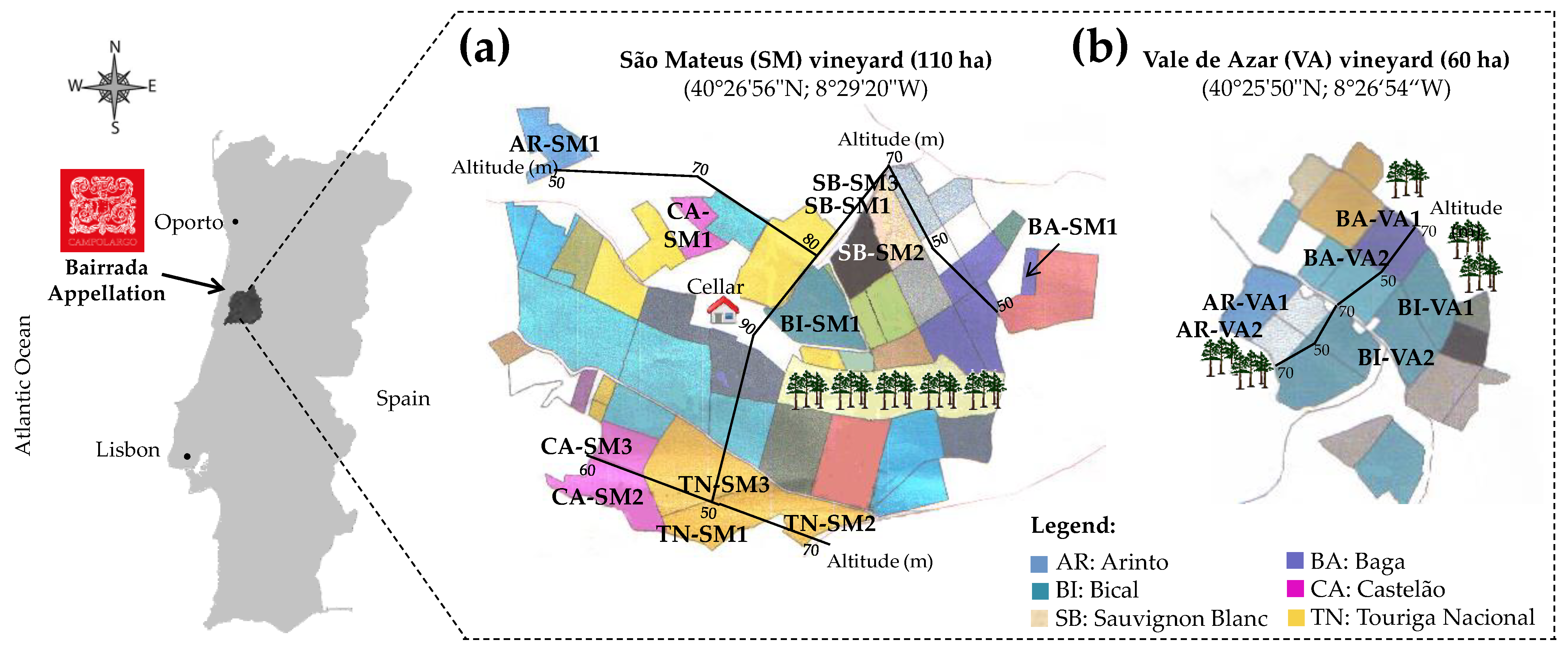 Applsci 11 04003 g001 Applsci 11 04003 g001