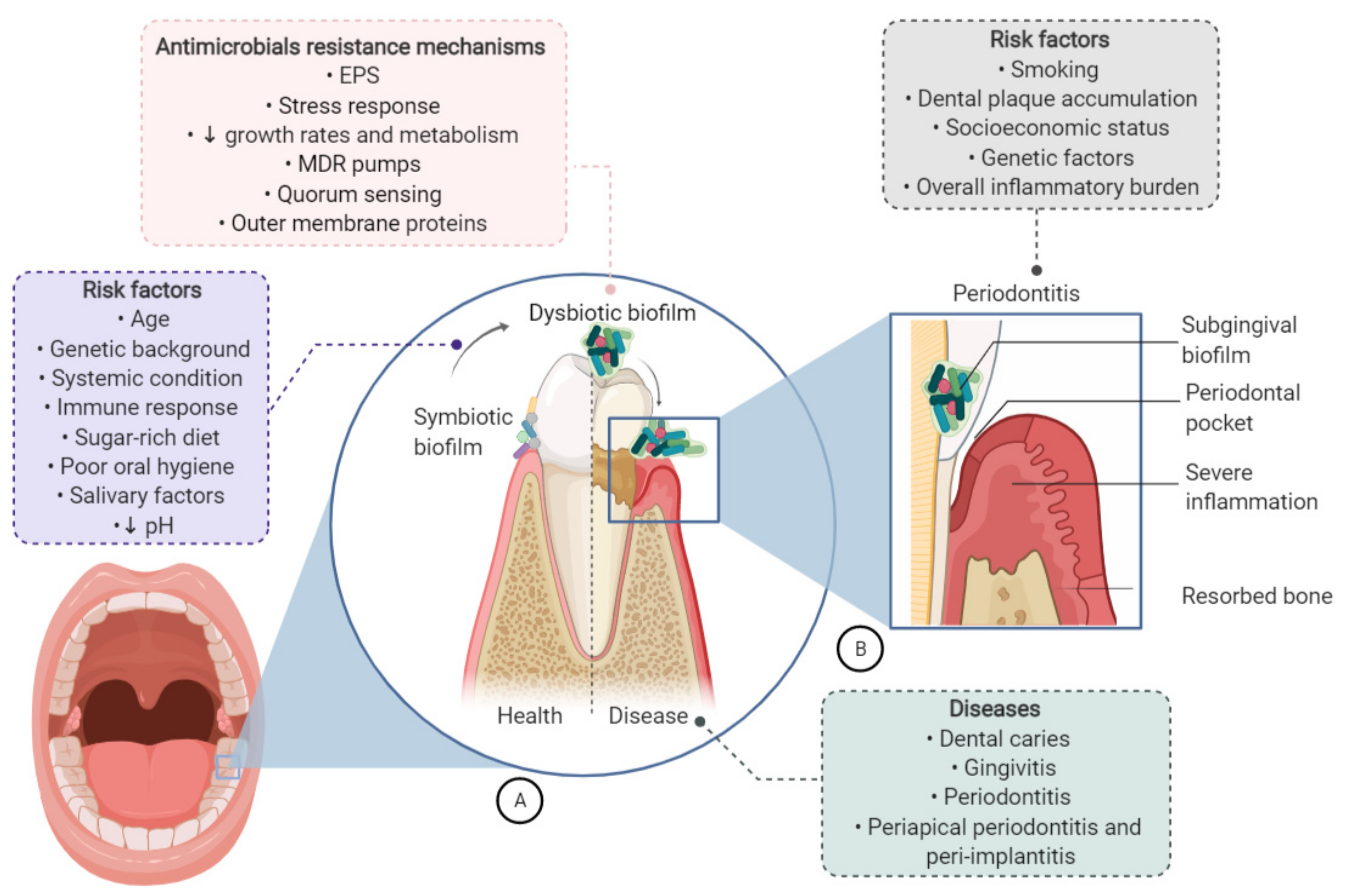 Applsci 11 04020 g002 Applsci 11 04020 g002