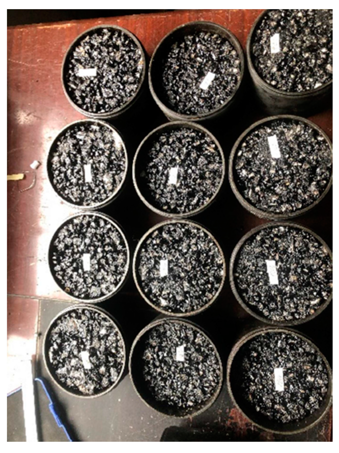 Applsci 11 04029 g004