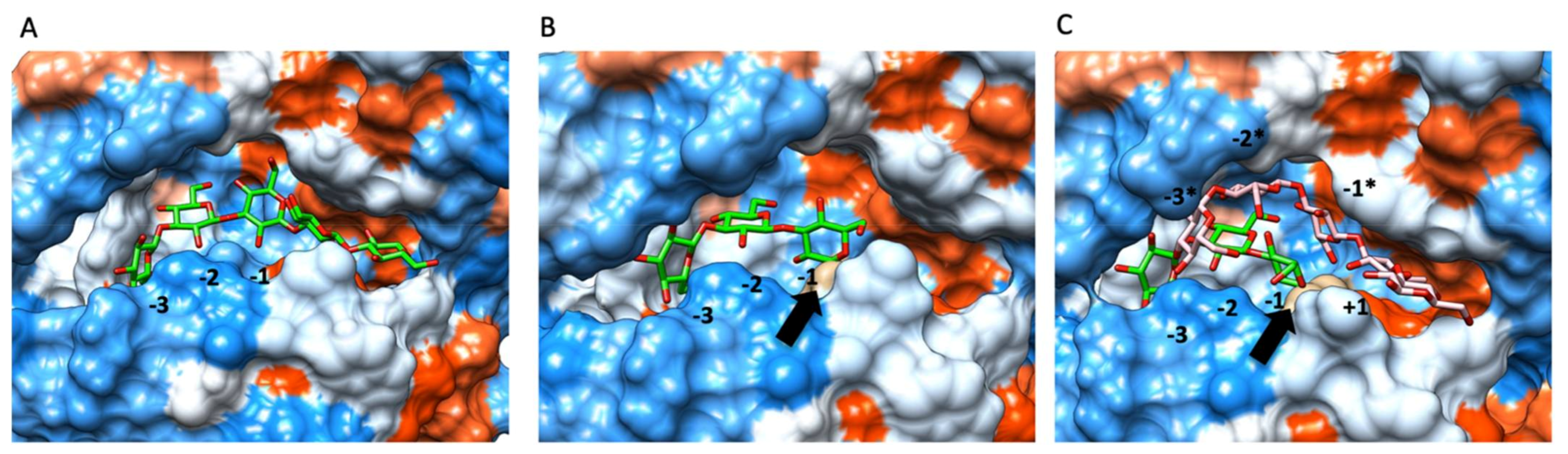 Applsci 11 04048 g008 Applsci 11 04048 g008