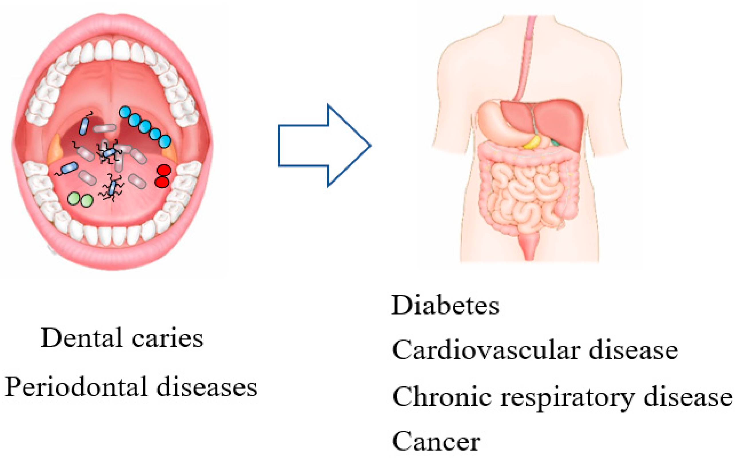 Applsci 11 04050 g003 Applsci 11 04050 g003