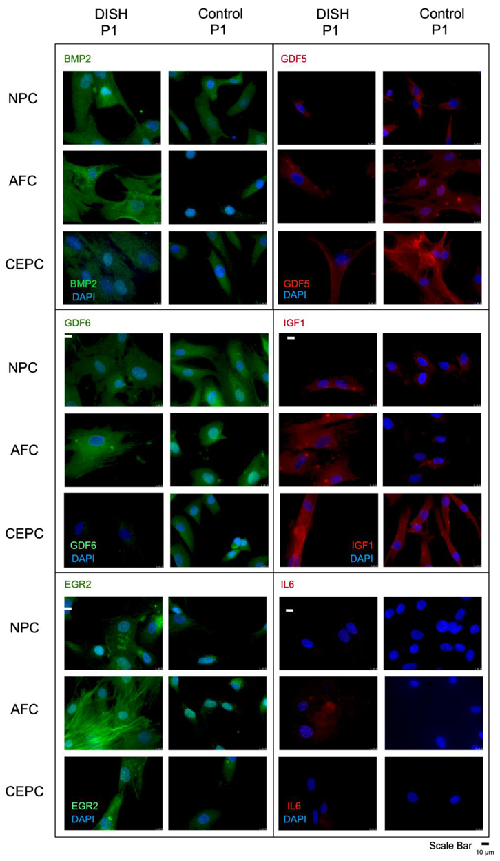 Applsci 11 04072 g003 Applsci 11 04072 g003