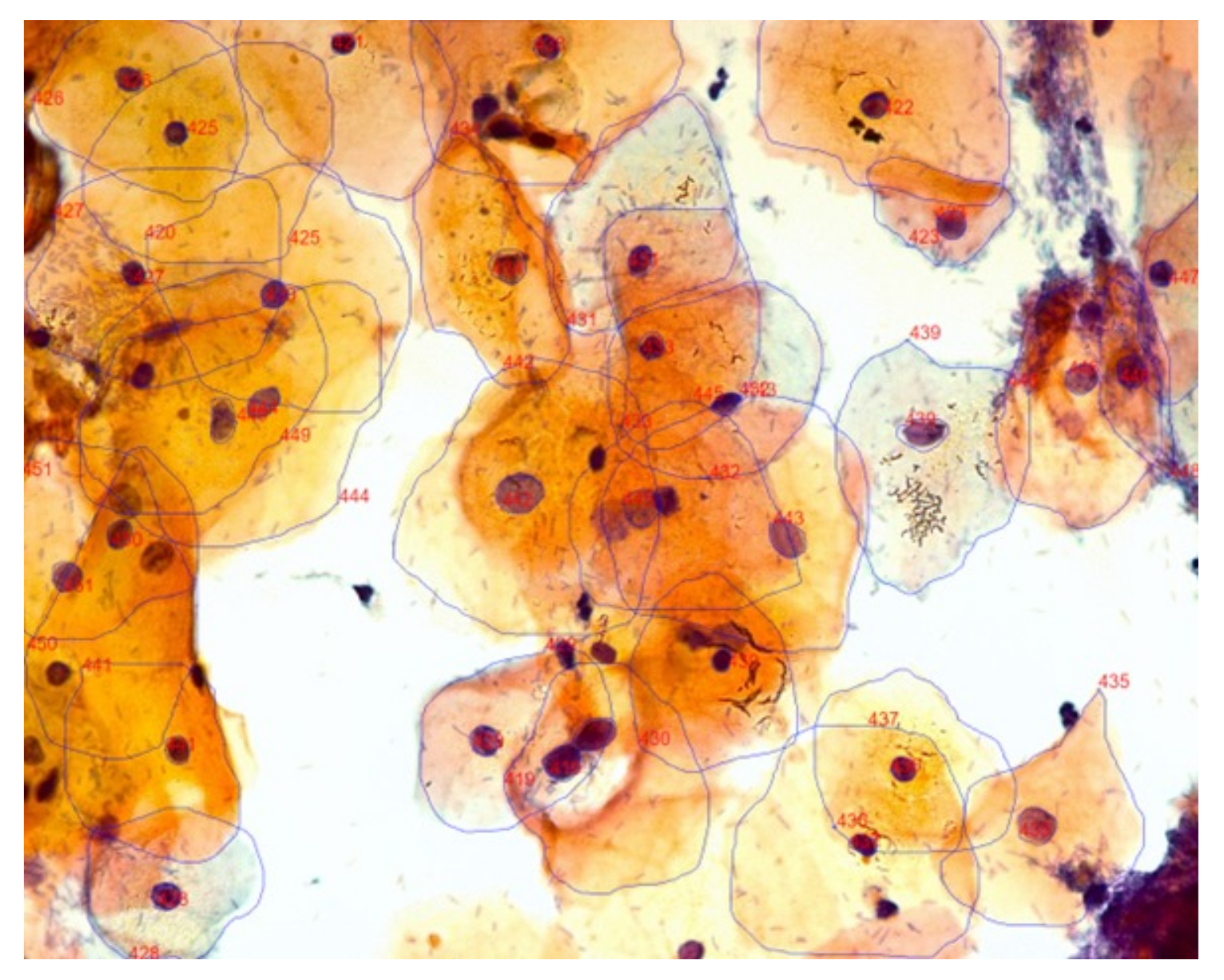 Applsci 11 04091 g002