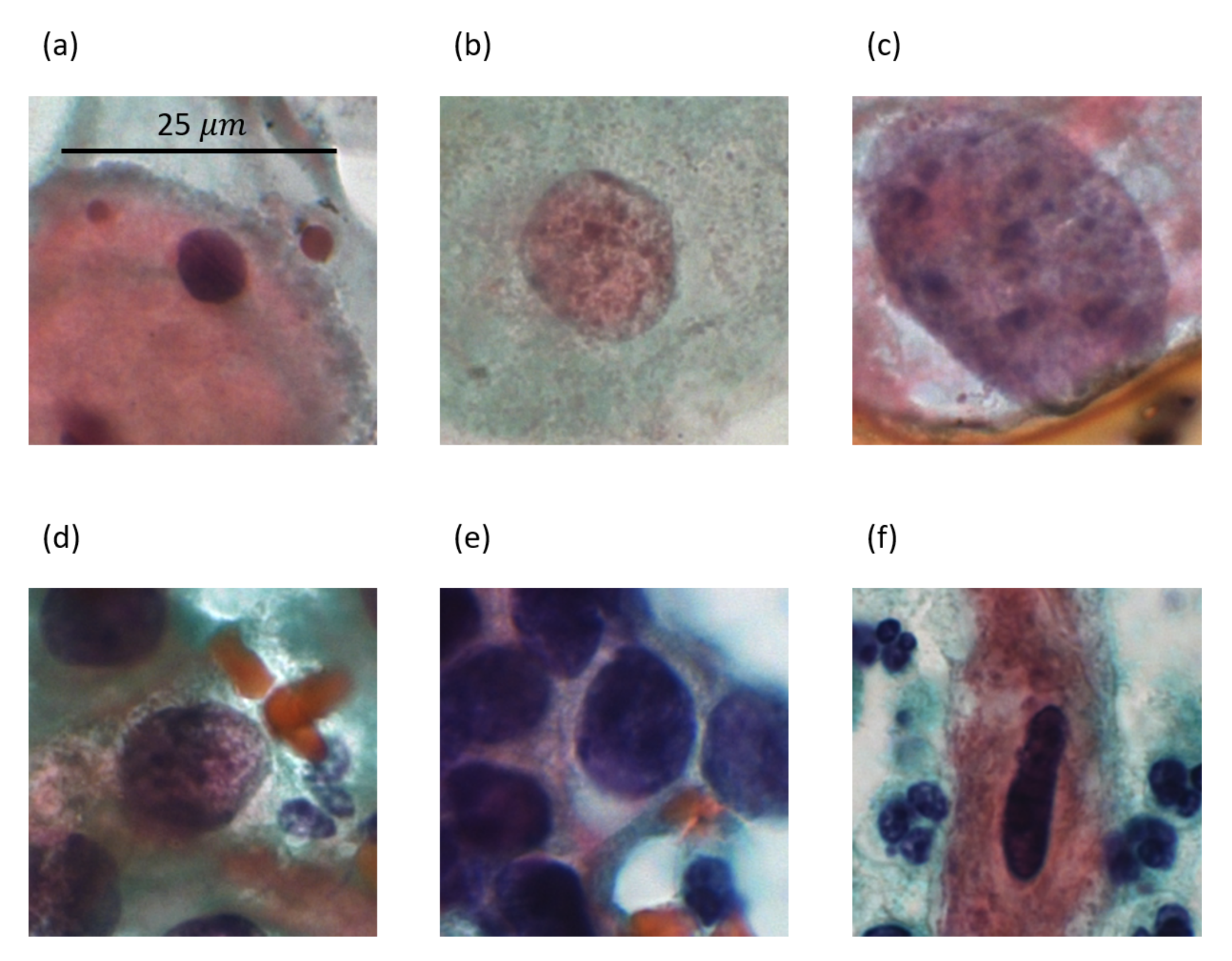 Applsci 11 04091 g003