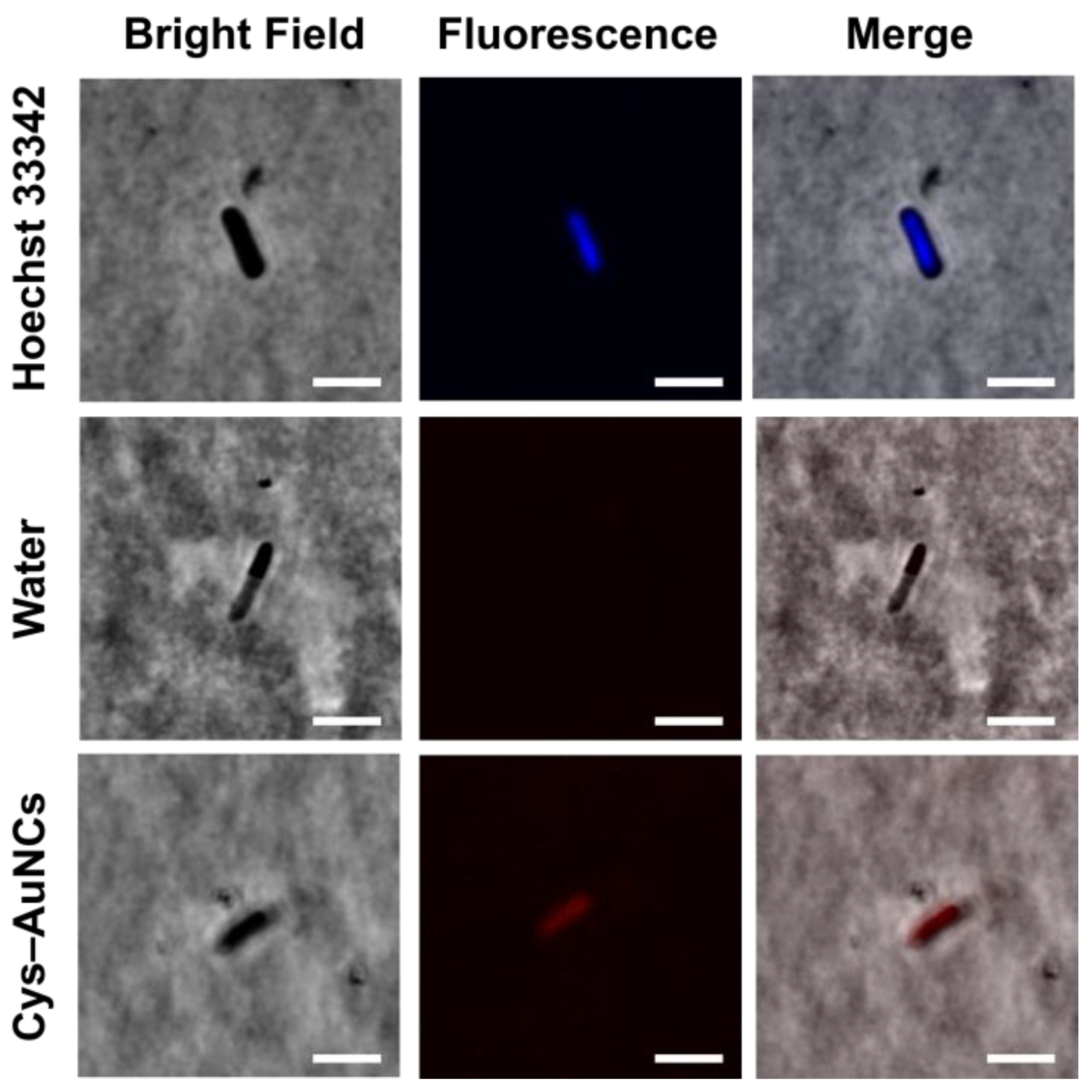 Applsci 11 04095 g007