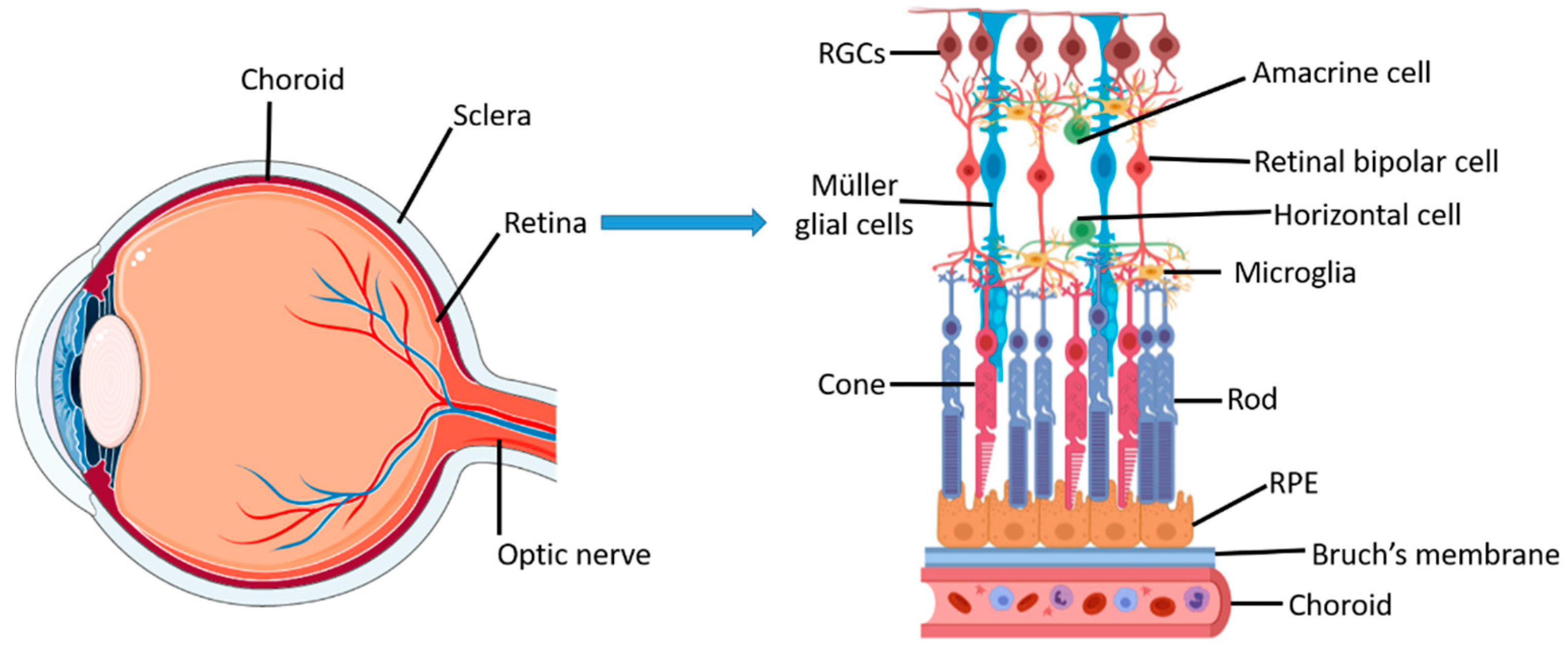 Applsci 11 04102 g001 Applsci 11 04102 g001