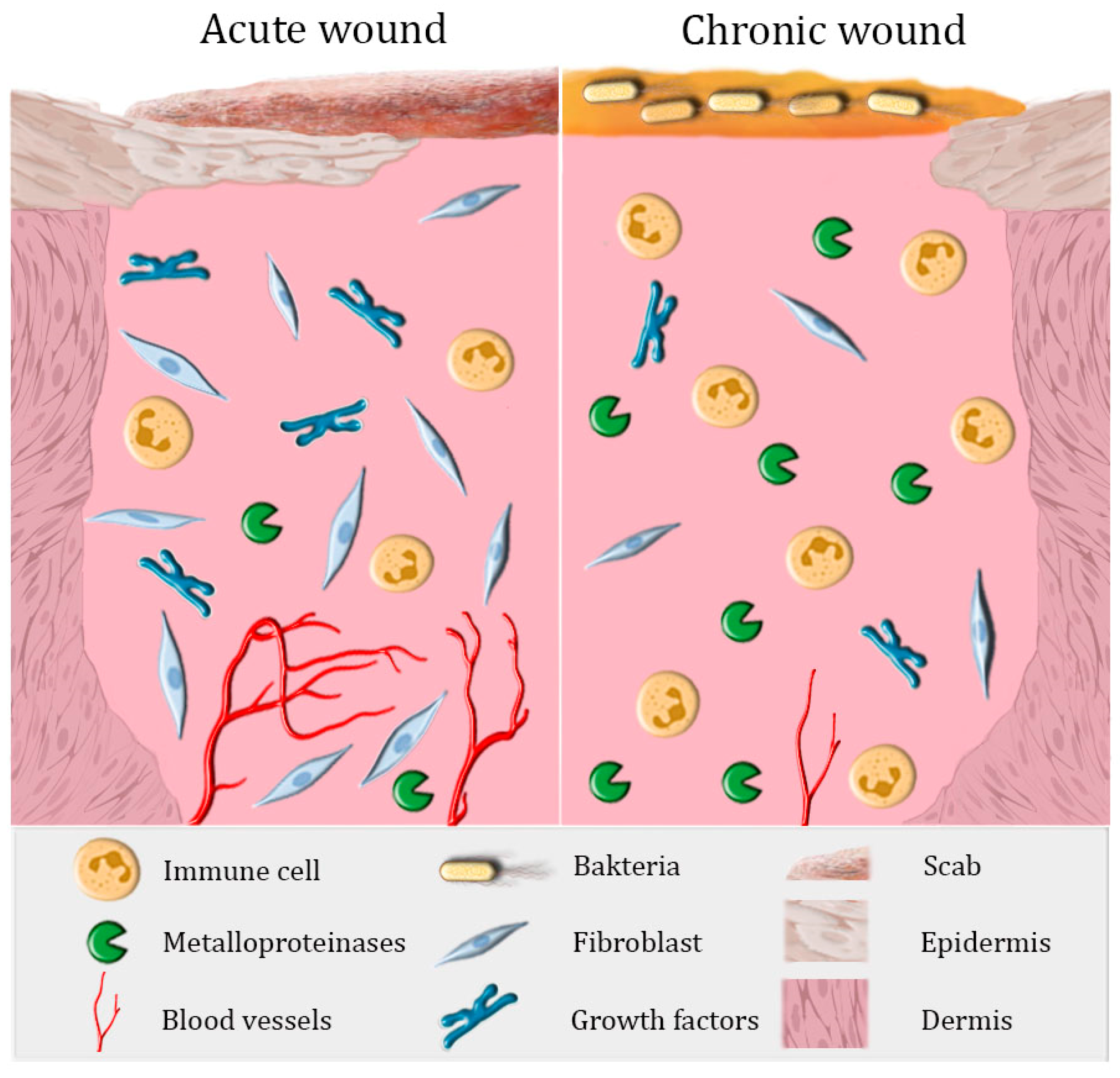 PDF) Occlusive dressings and wound healing
