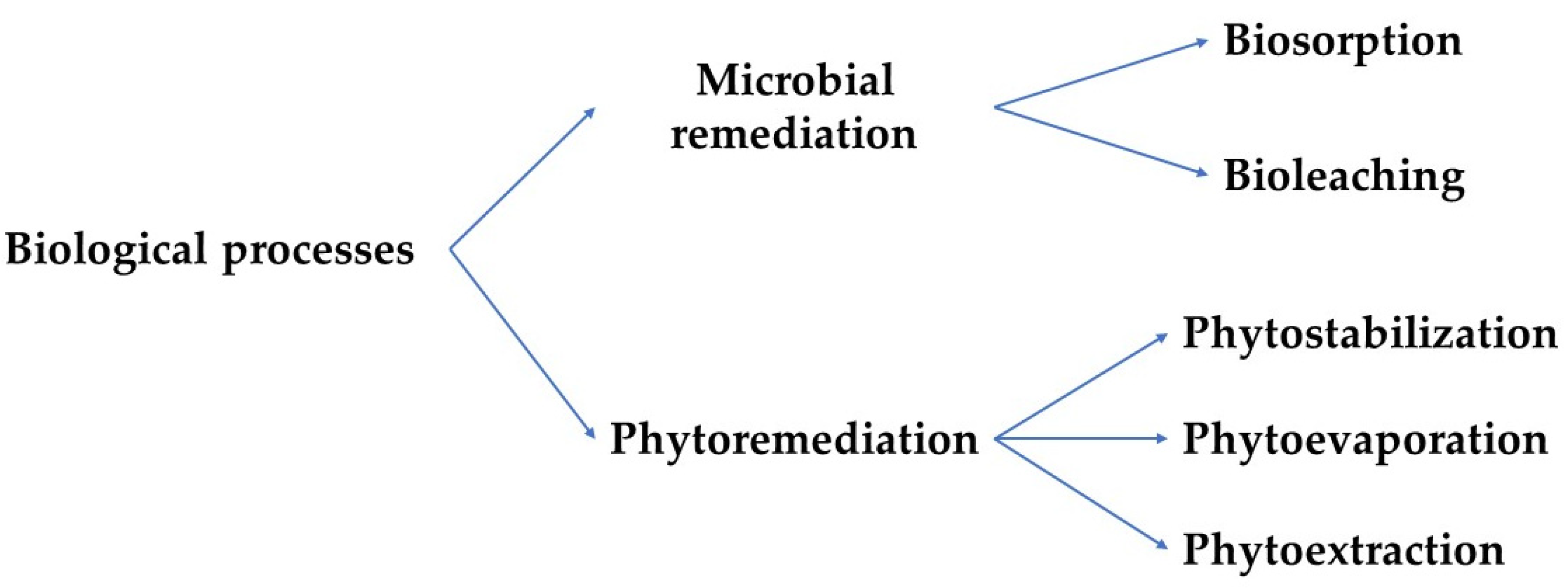 Applsci 11 04134 g005 Applsci 11 04134 g005