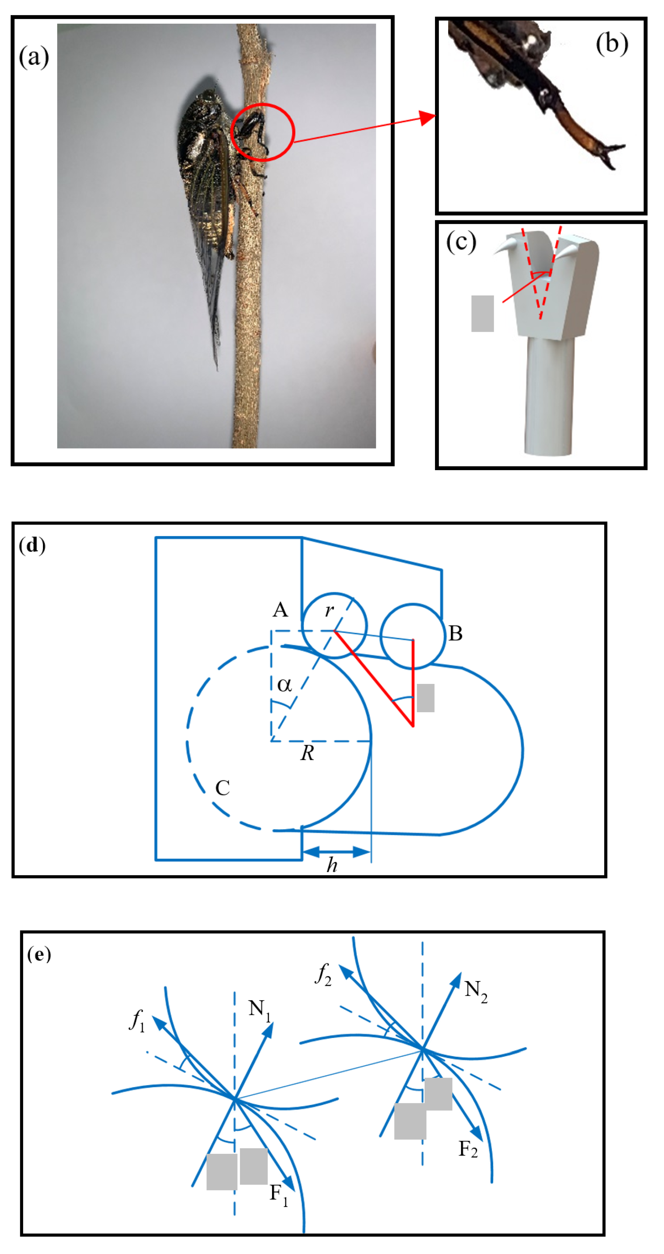 Applsci 11 04137 g005 Applsci 11 04137 g005