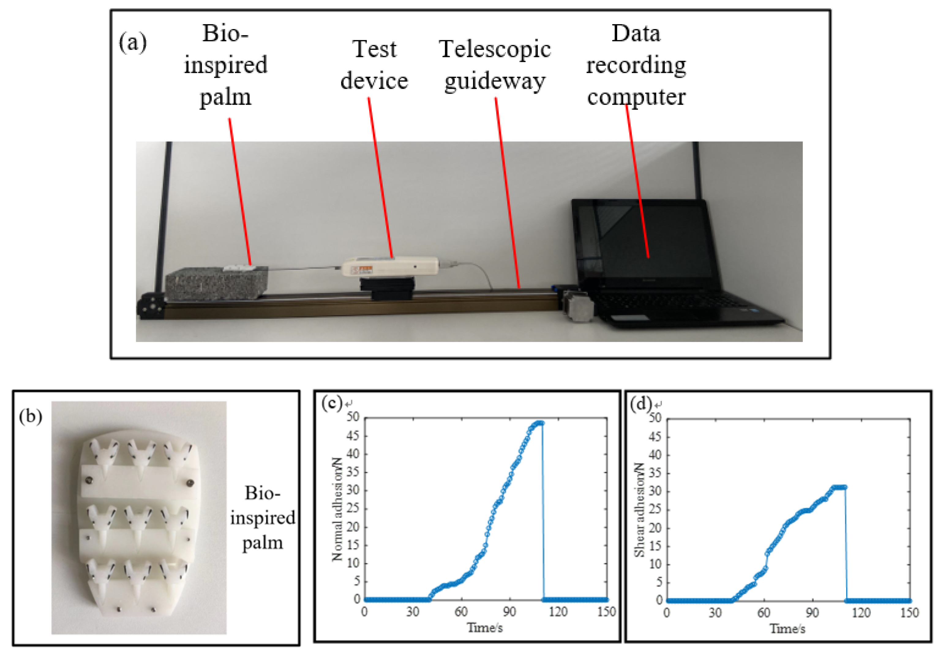 Applsci 11 04137 g007 Applsci 11 04137 g007