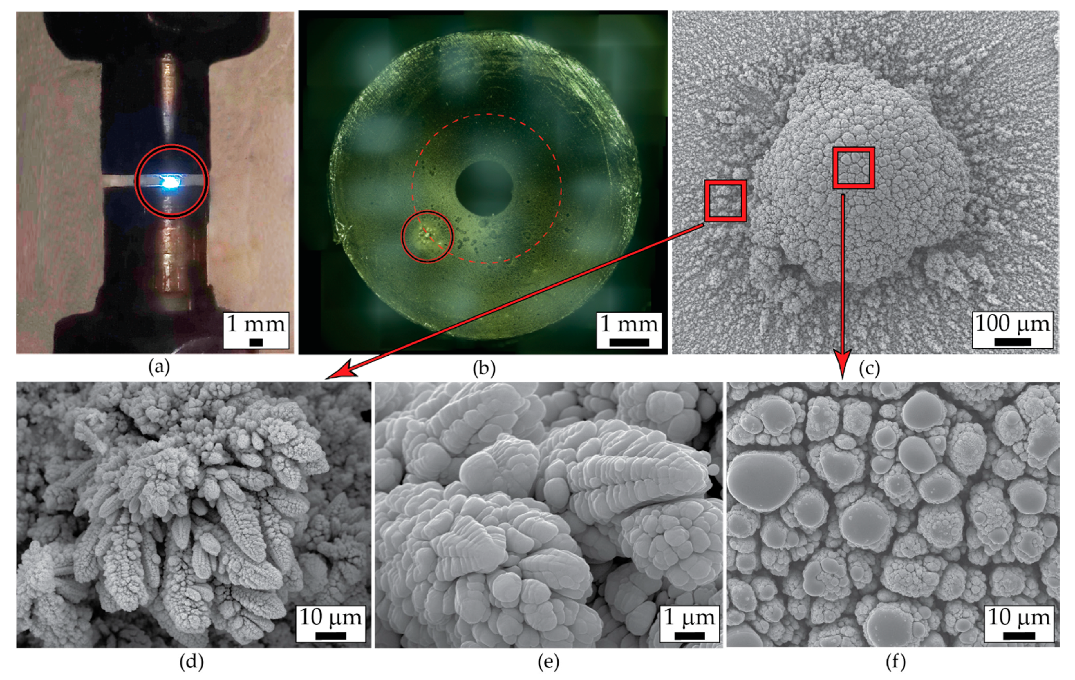 Applsci 11 04147 g012