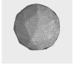 Applsci 11 04181 i005 Applsci 11 04181 i005