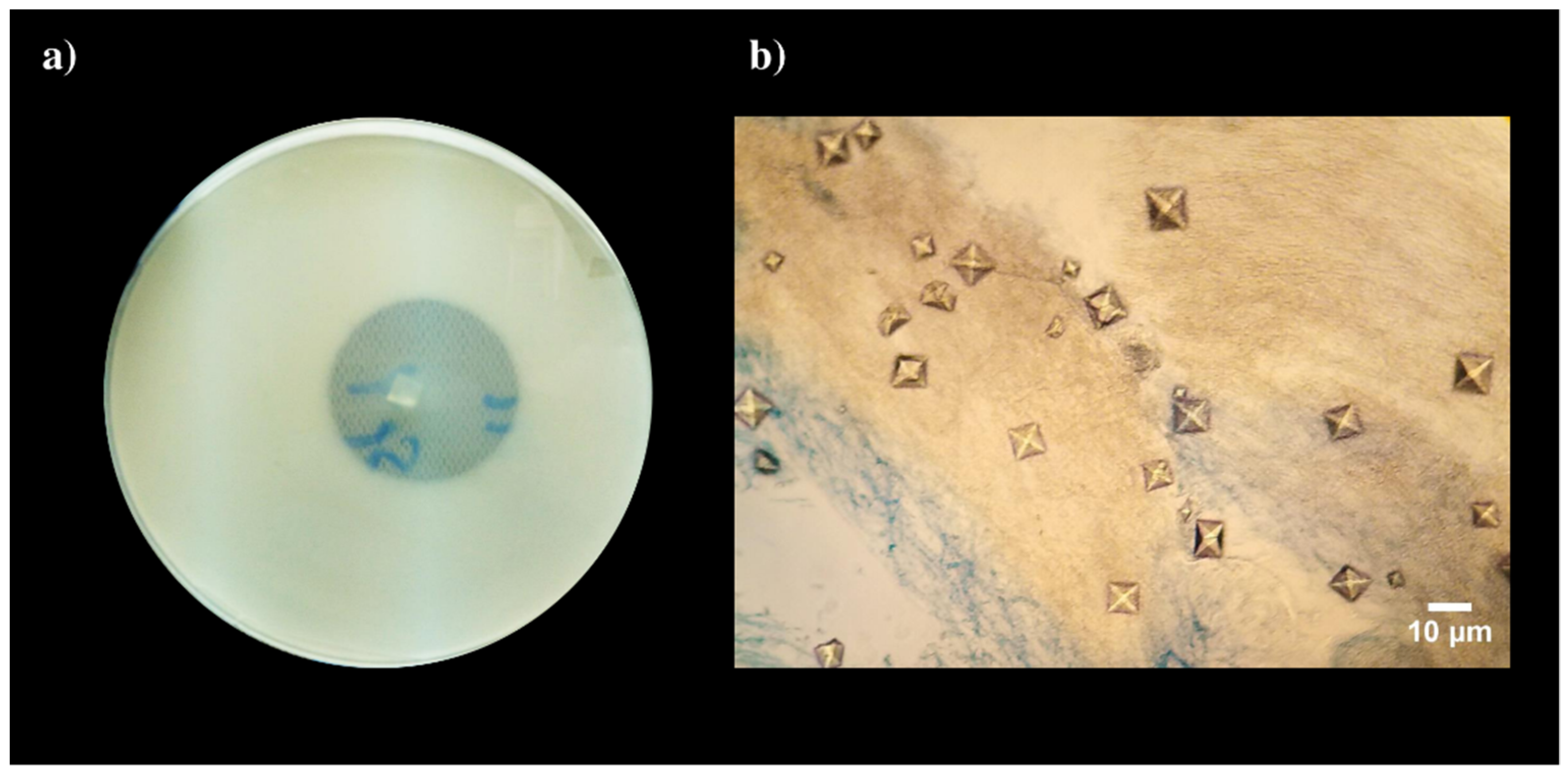 Applsci 11 04196 g001 Applsci 11 04196 g001