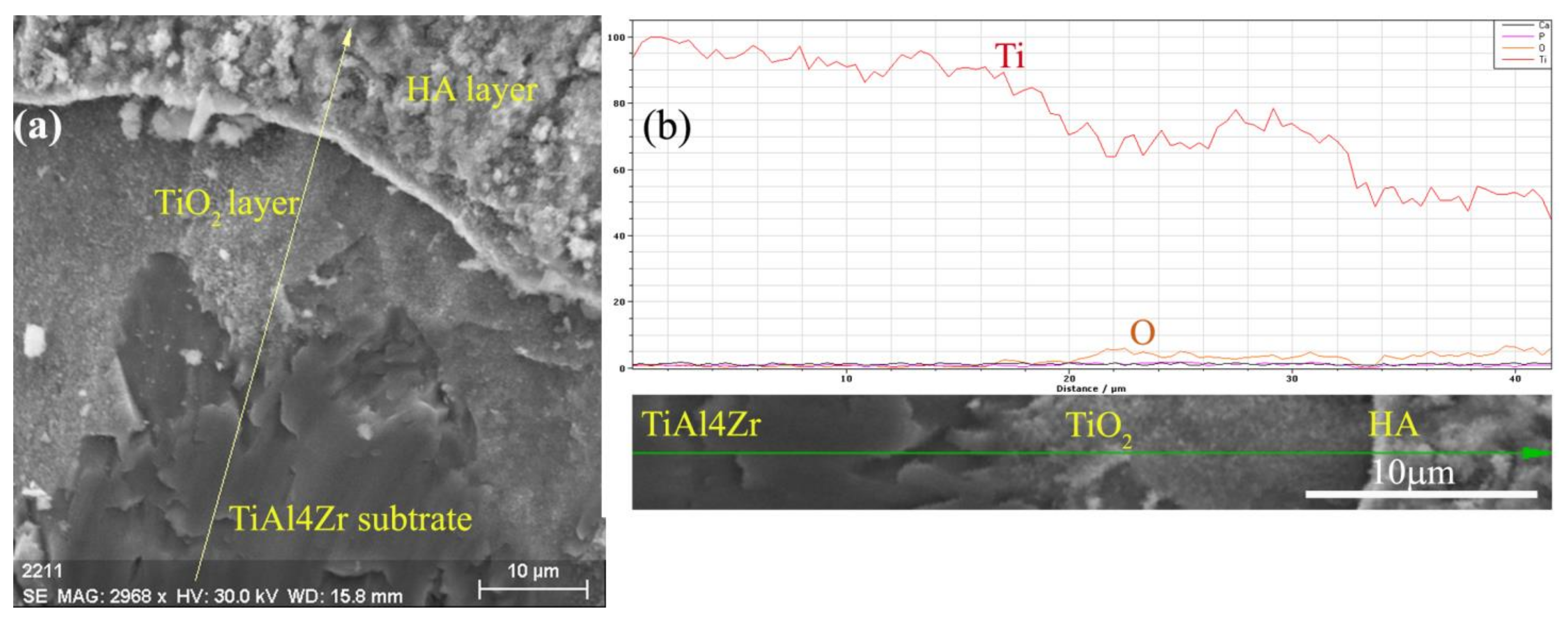 Applsci 11 04198 g005 Applsci 11 04198 g005