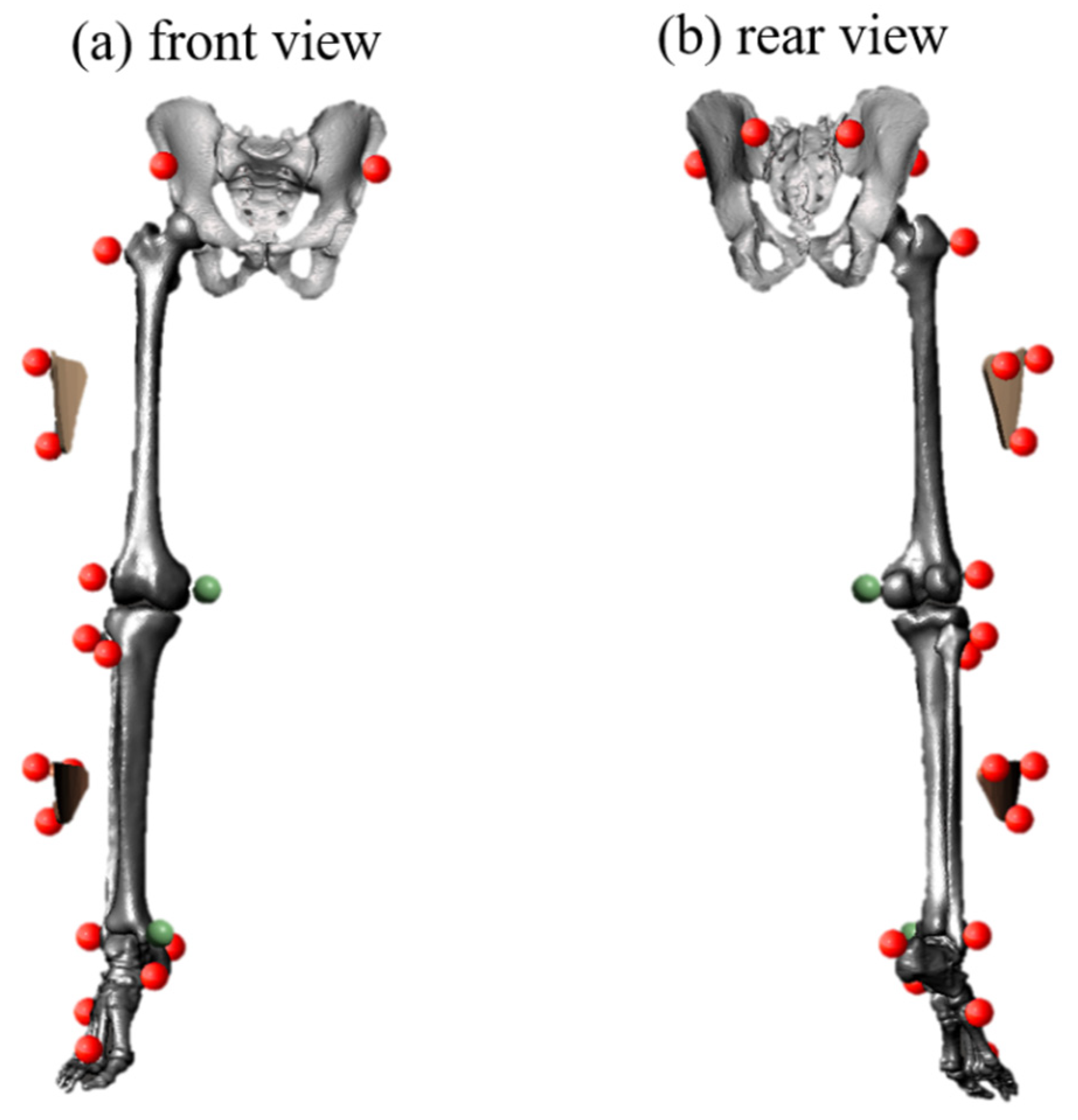 Applsci 11 04200 g004 Applsci 11 04200 g004