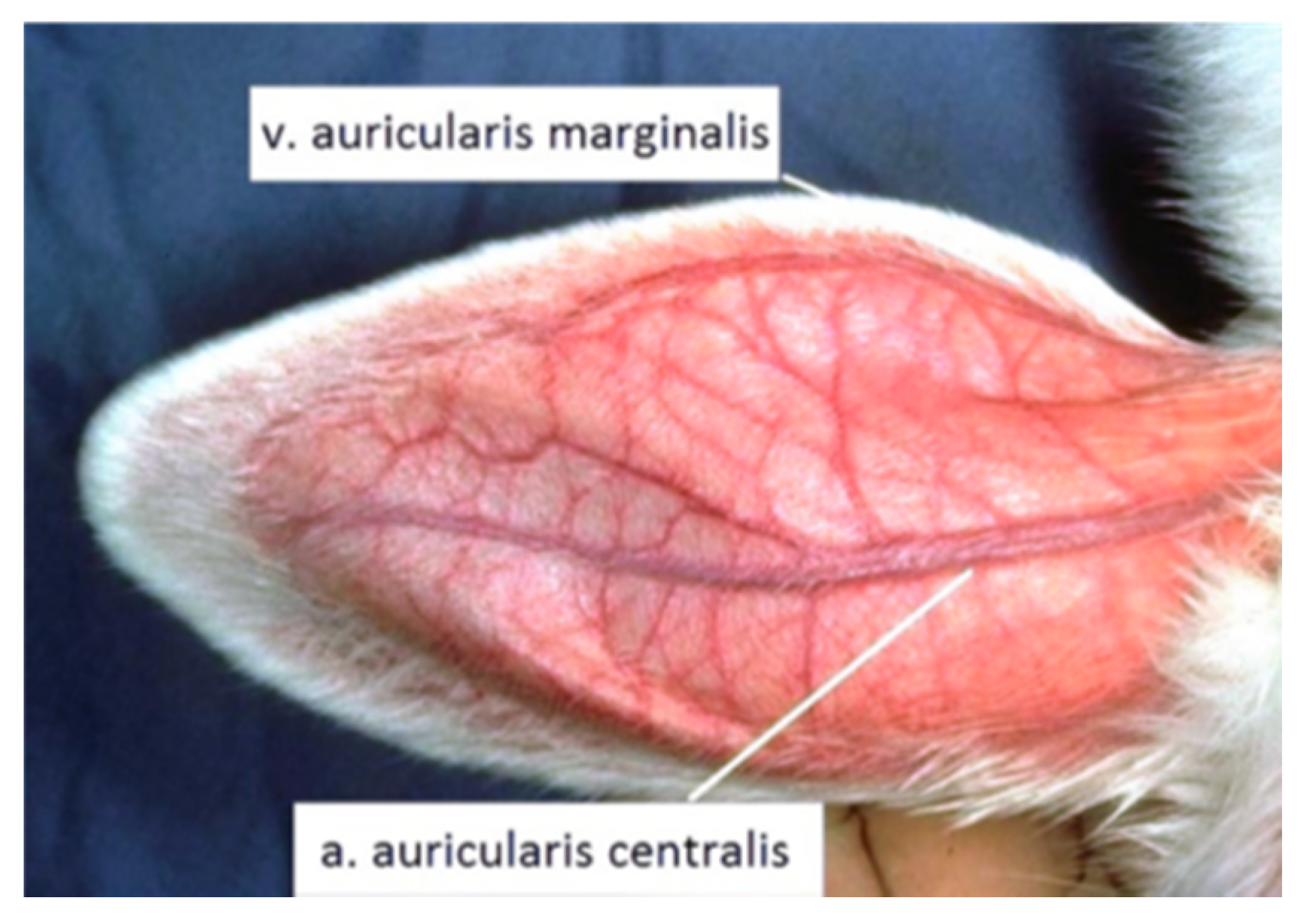 Applsci 11 04210 g006