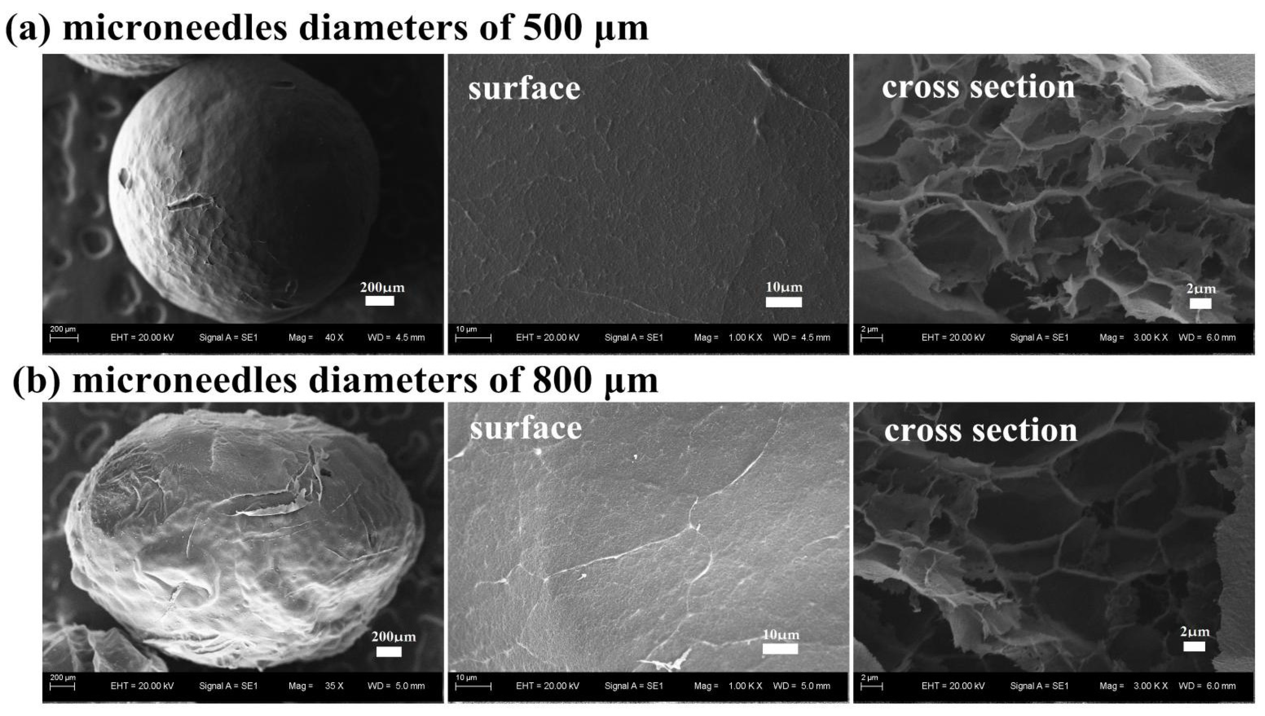Applsci 11 04217 g004 Applsci 11 04217 g004