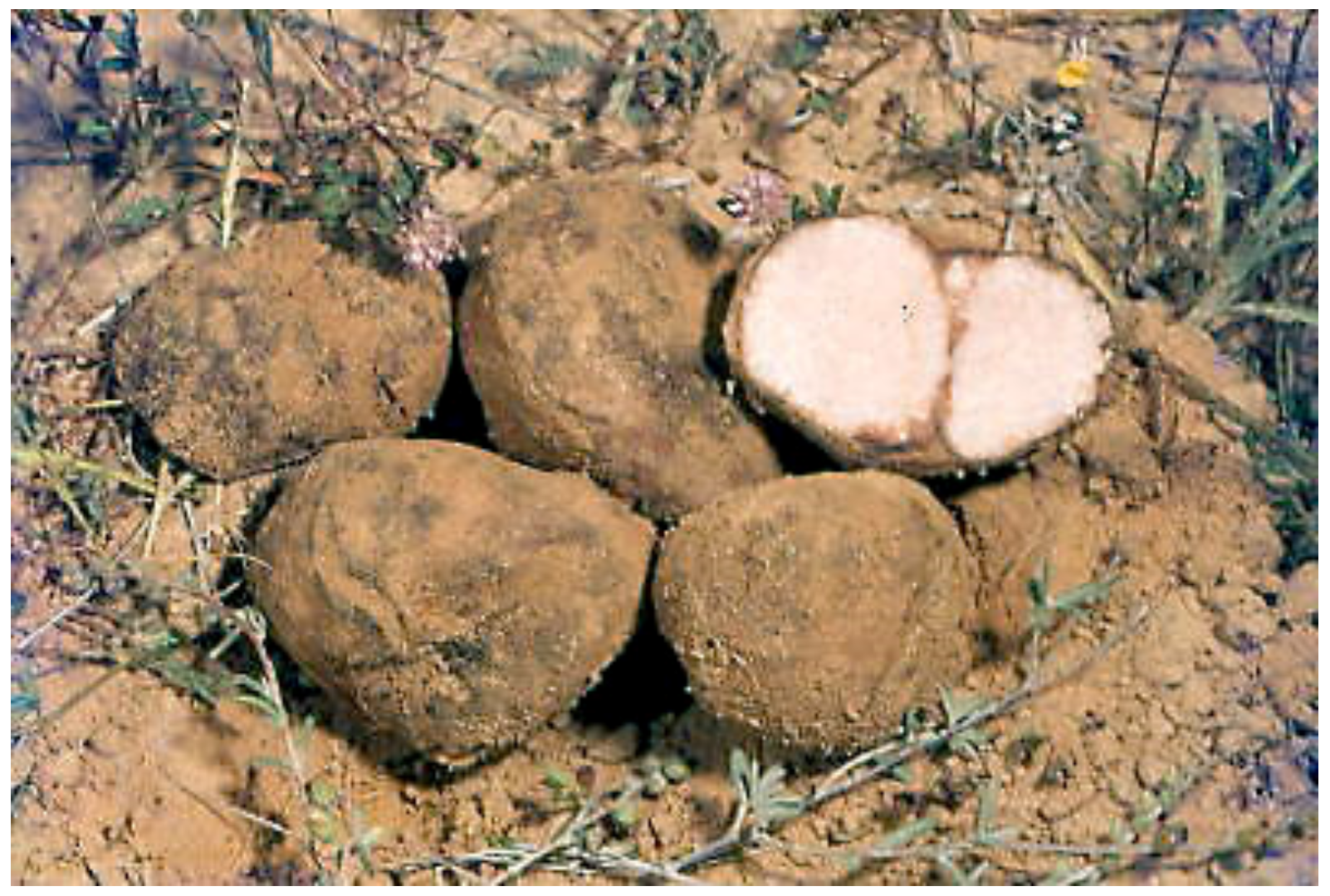 Applsci 11 04221 g005 Applsci 11 04221 g005