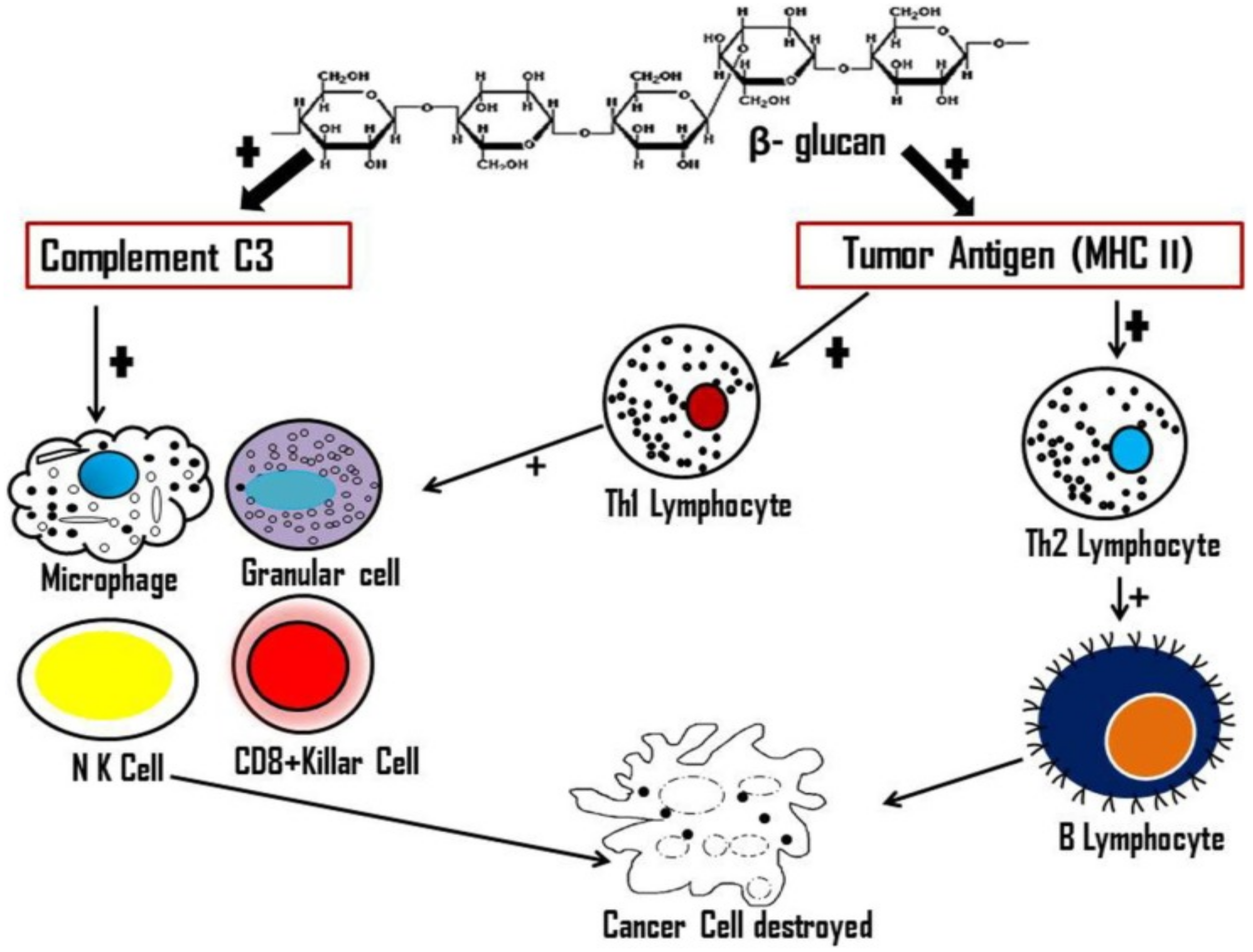 Applsci 11 04221 g008 Applsci 11 04221 g008