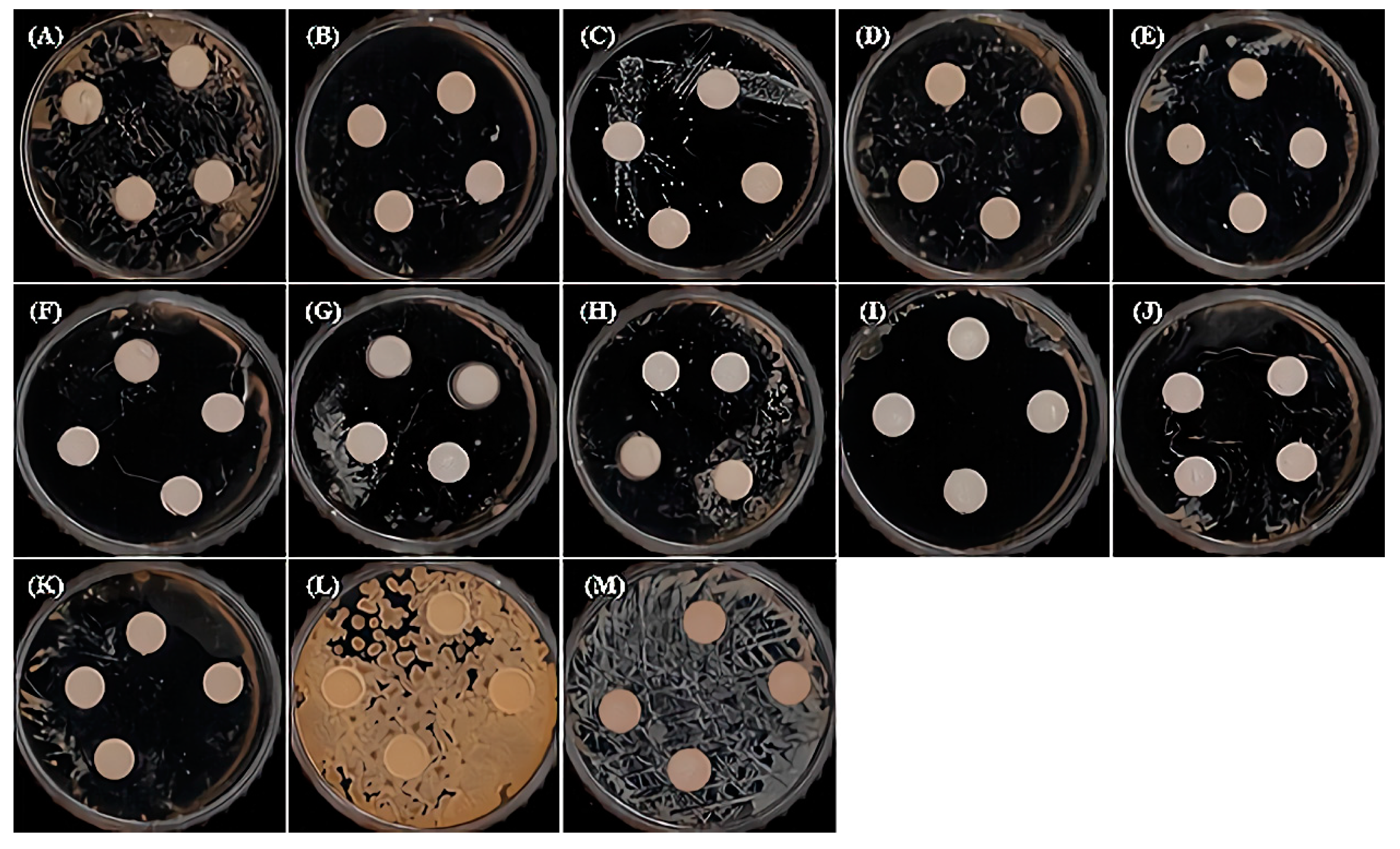 Applsci 11 04227 g002