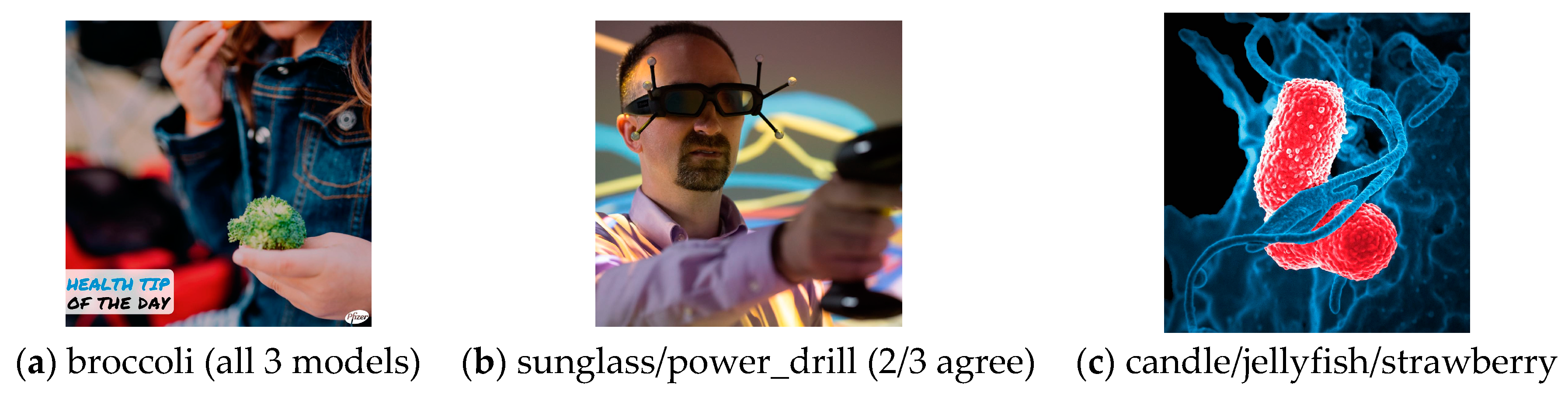 Applsci 11 04281 g005 Applsci 11 04281 g005