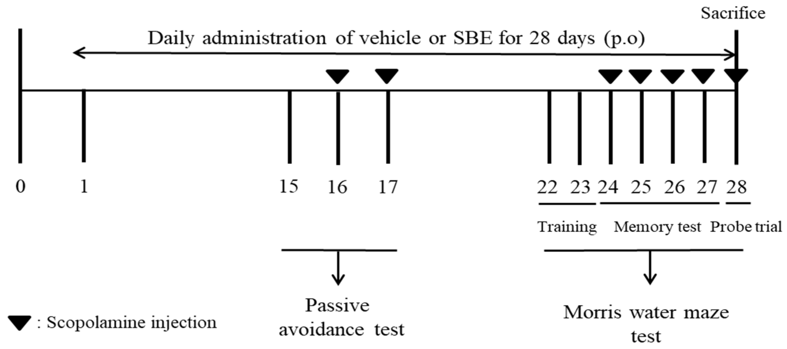 Applsci 11 04286 g001 Applsci 11 04286 g001