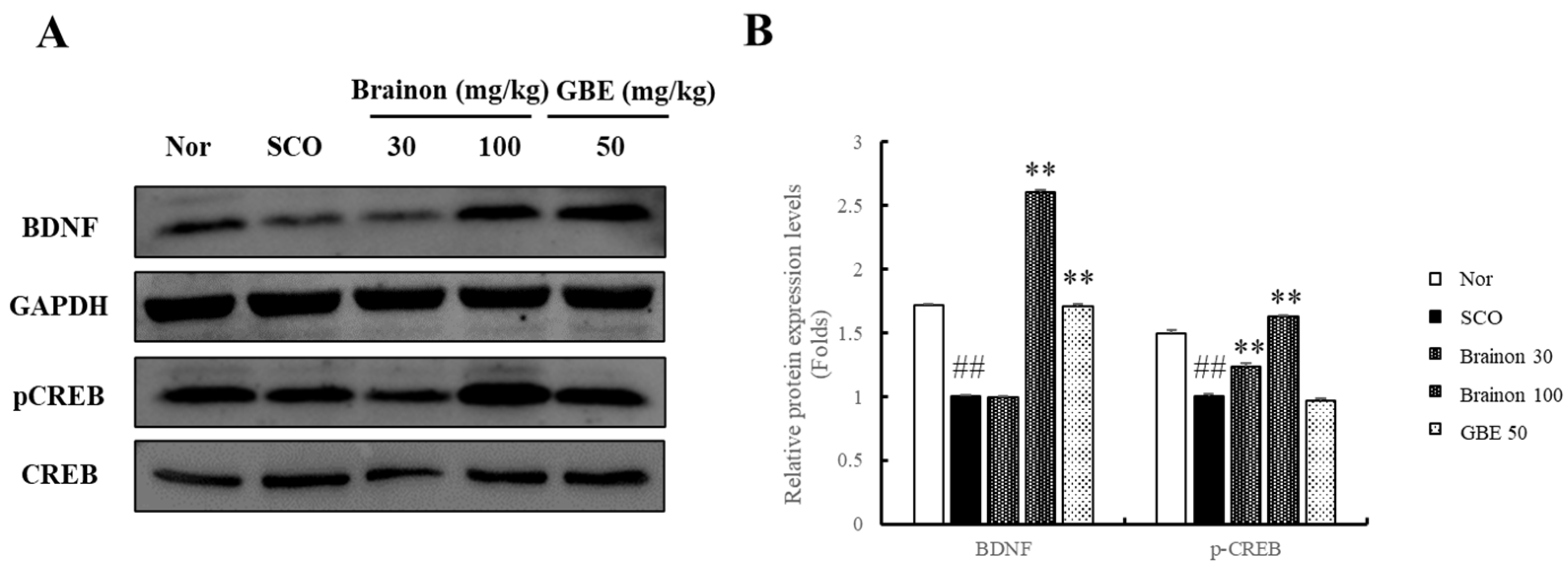 Applsci 11 04286 g005 Applsci 11 04286 g005