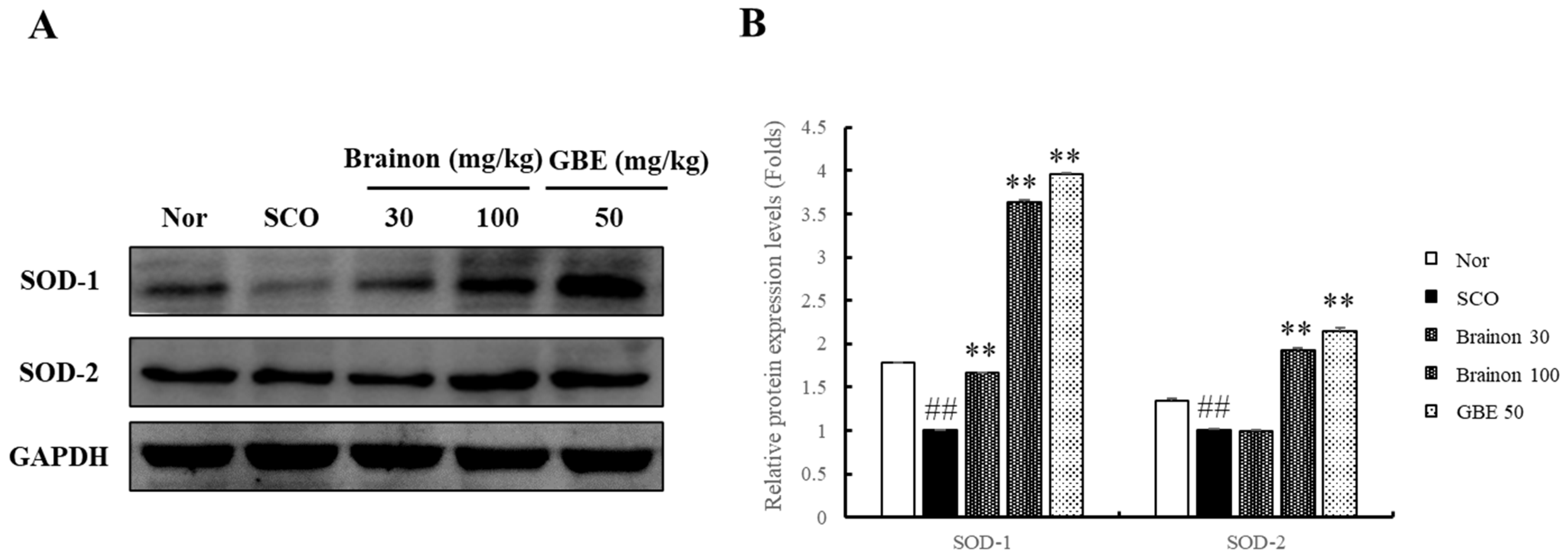 Applsci 11 04286 g006 Applsci 11 04286 g006