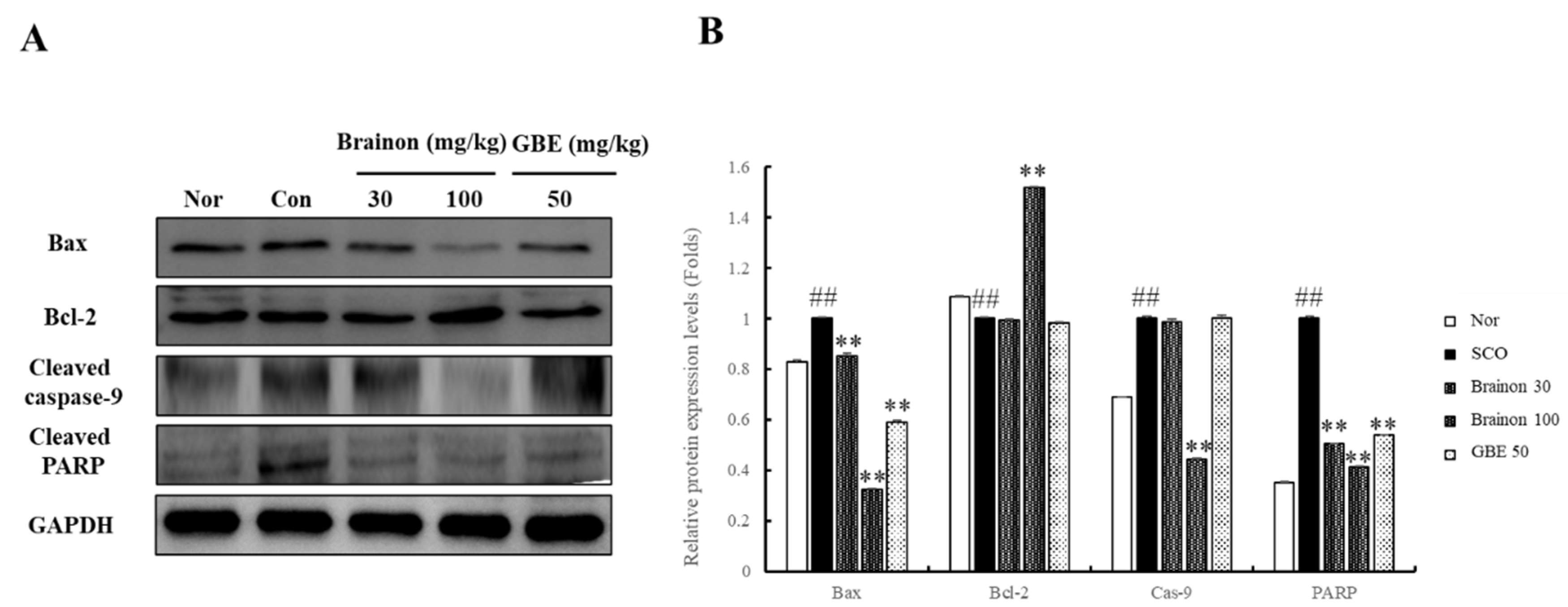 Applsci 11 04286 g008 Applsci 11 04286 g008