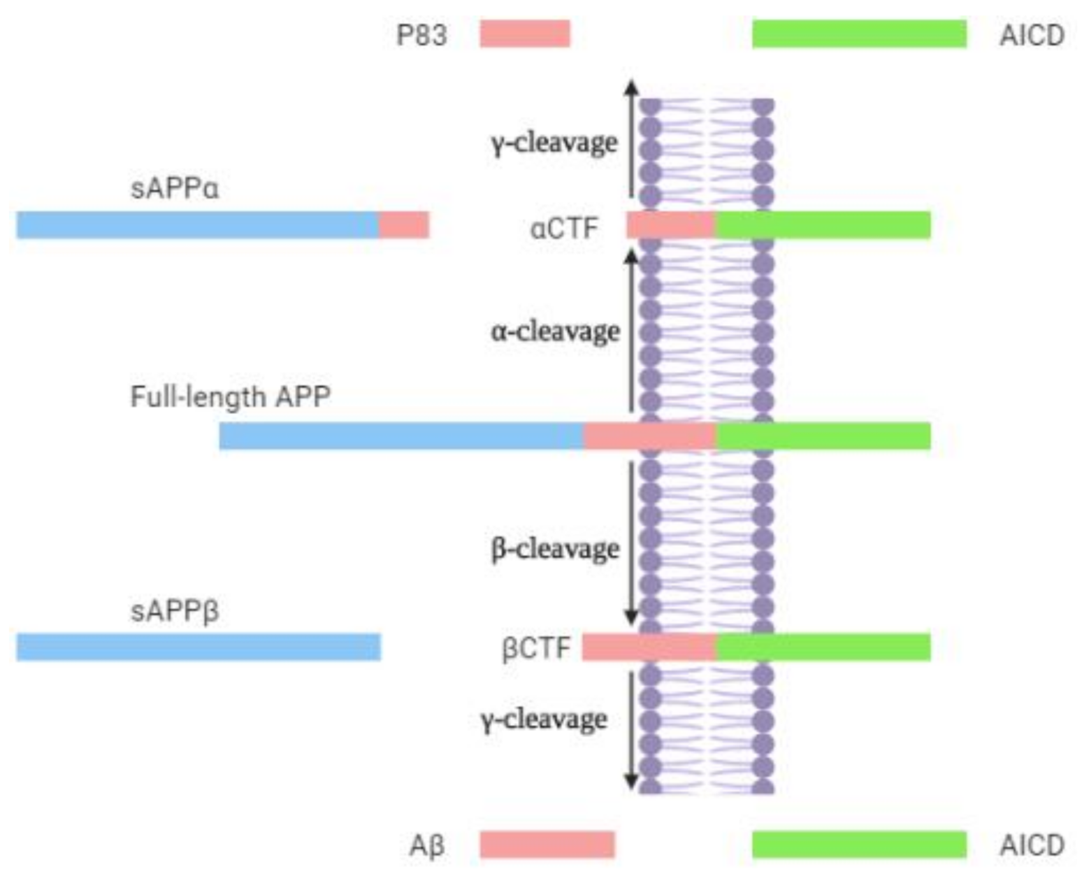 Applsci 11 04305 g001