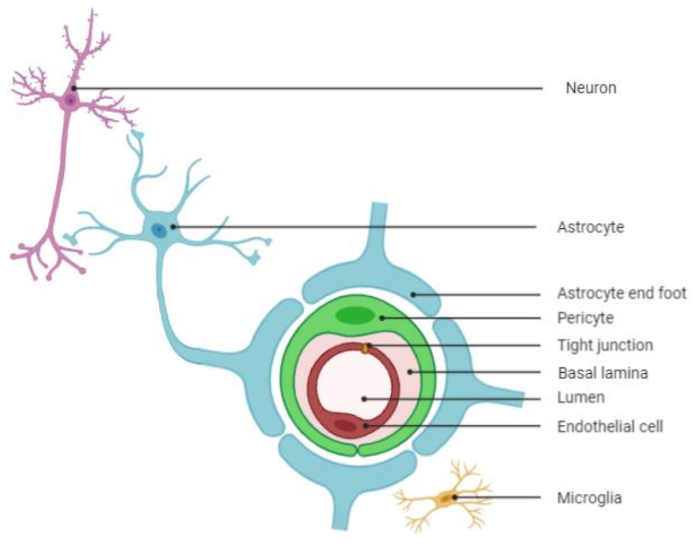 Applsci 11 04305 g003