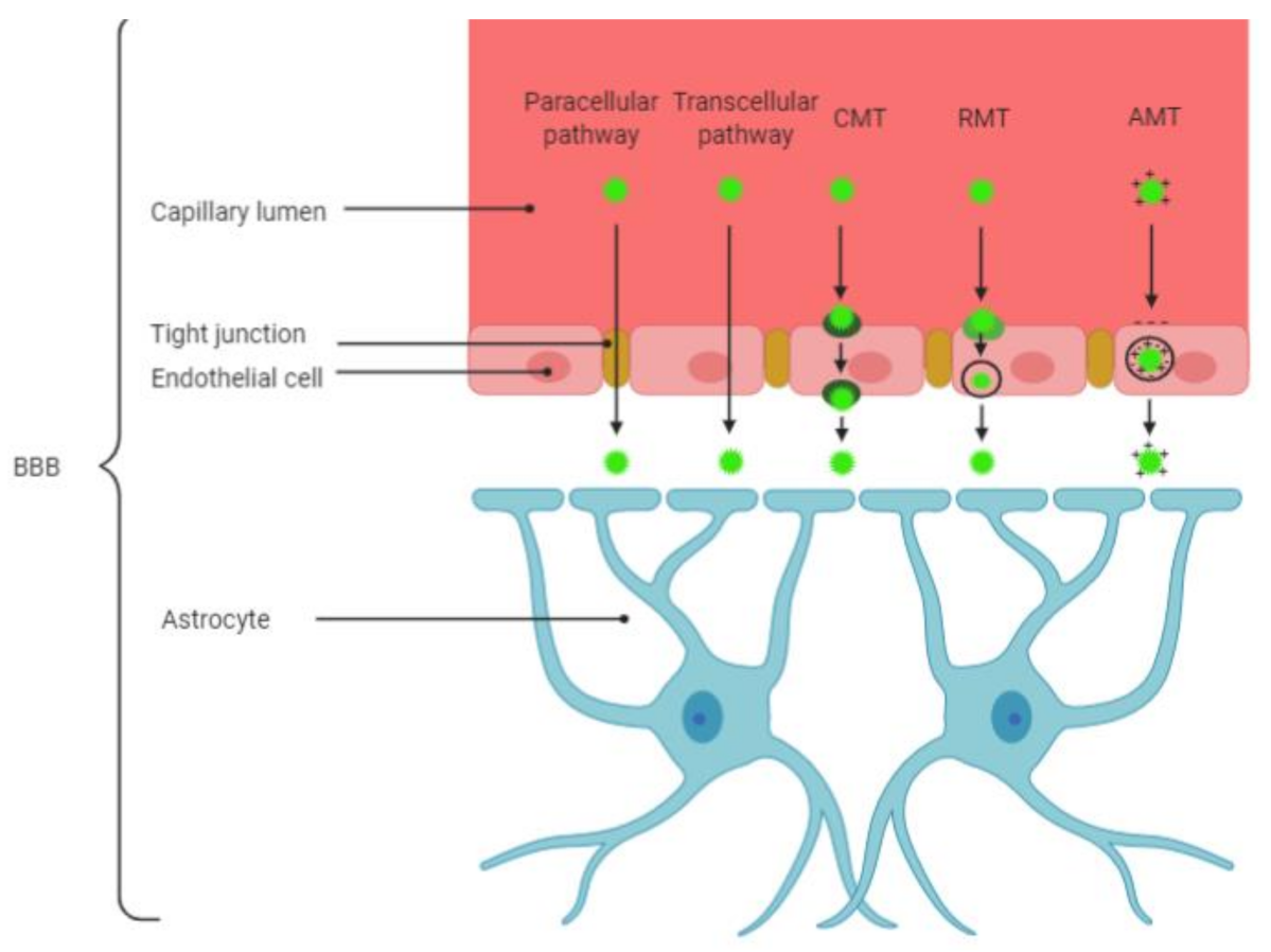 Applsci 11 04305 g004