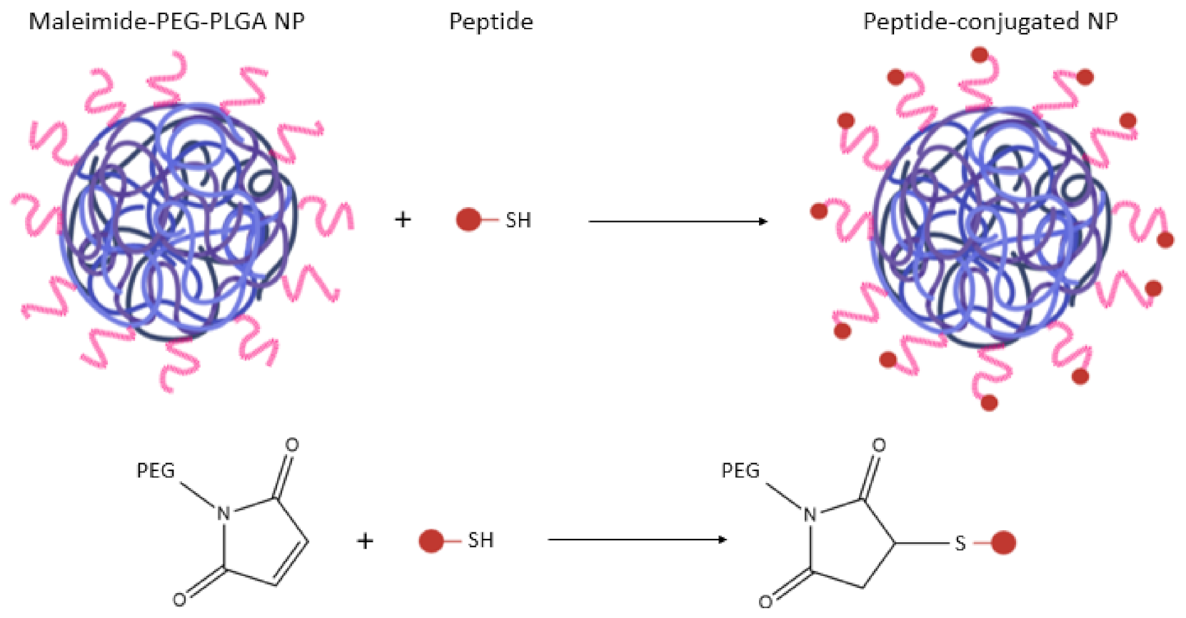 Applsci 11 04305 g008
