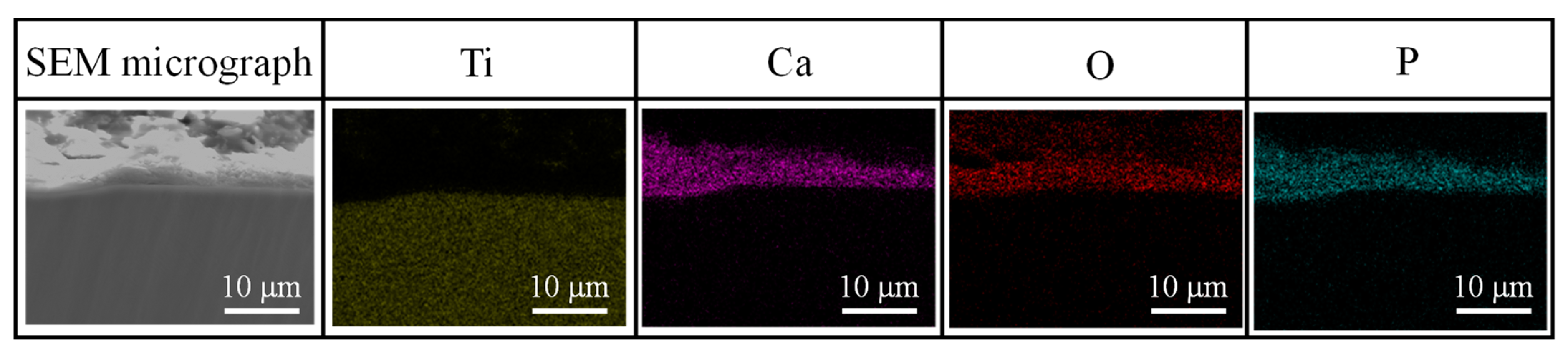 Applsci 11 04307 g005