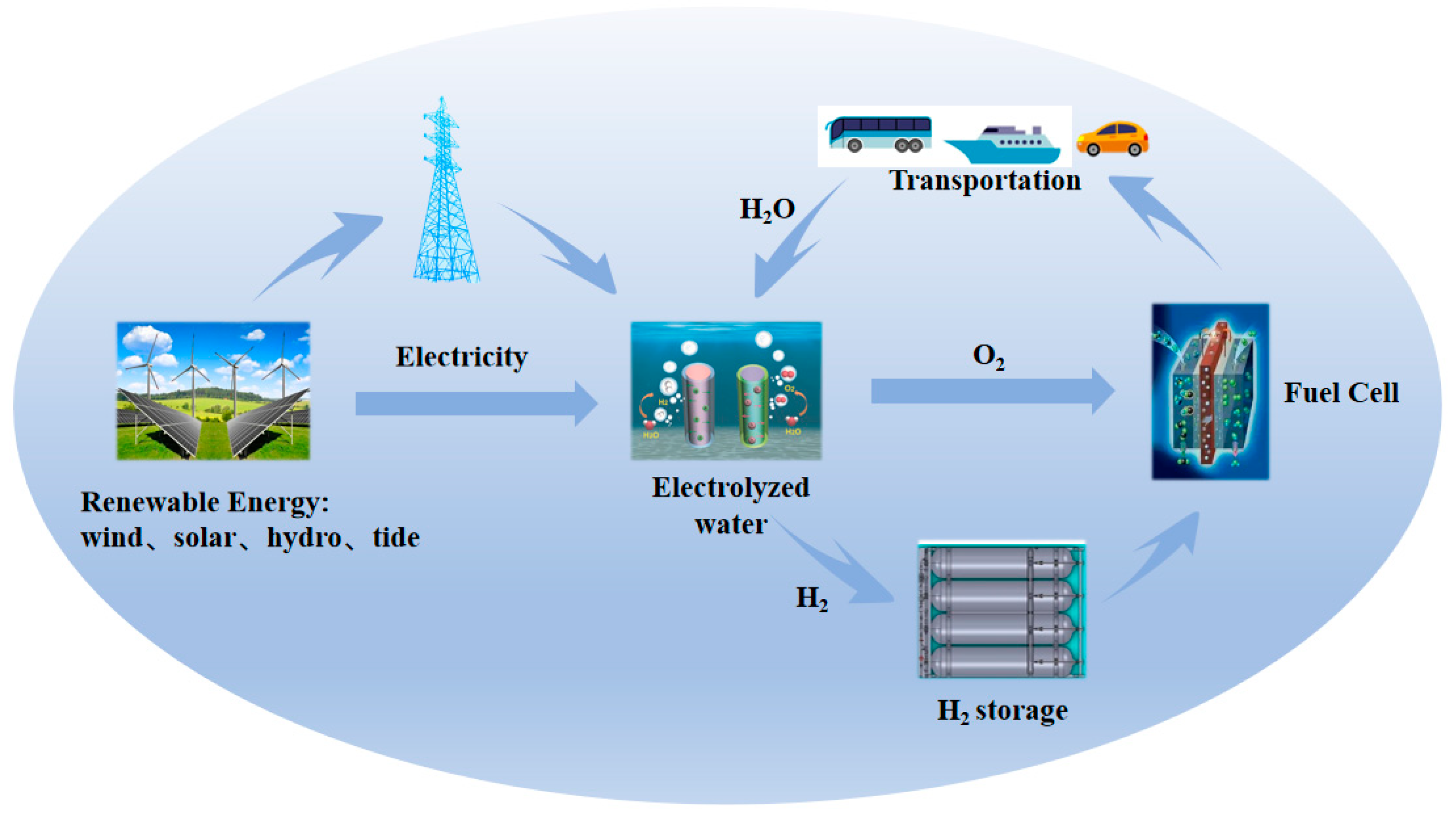 Constant Change: Exploring Dynamic Oxygen Evolution Reaction Catalysis and  Material Transformations in Strontium Zinc Iridate Perovskite in Acid