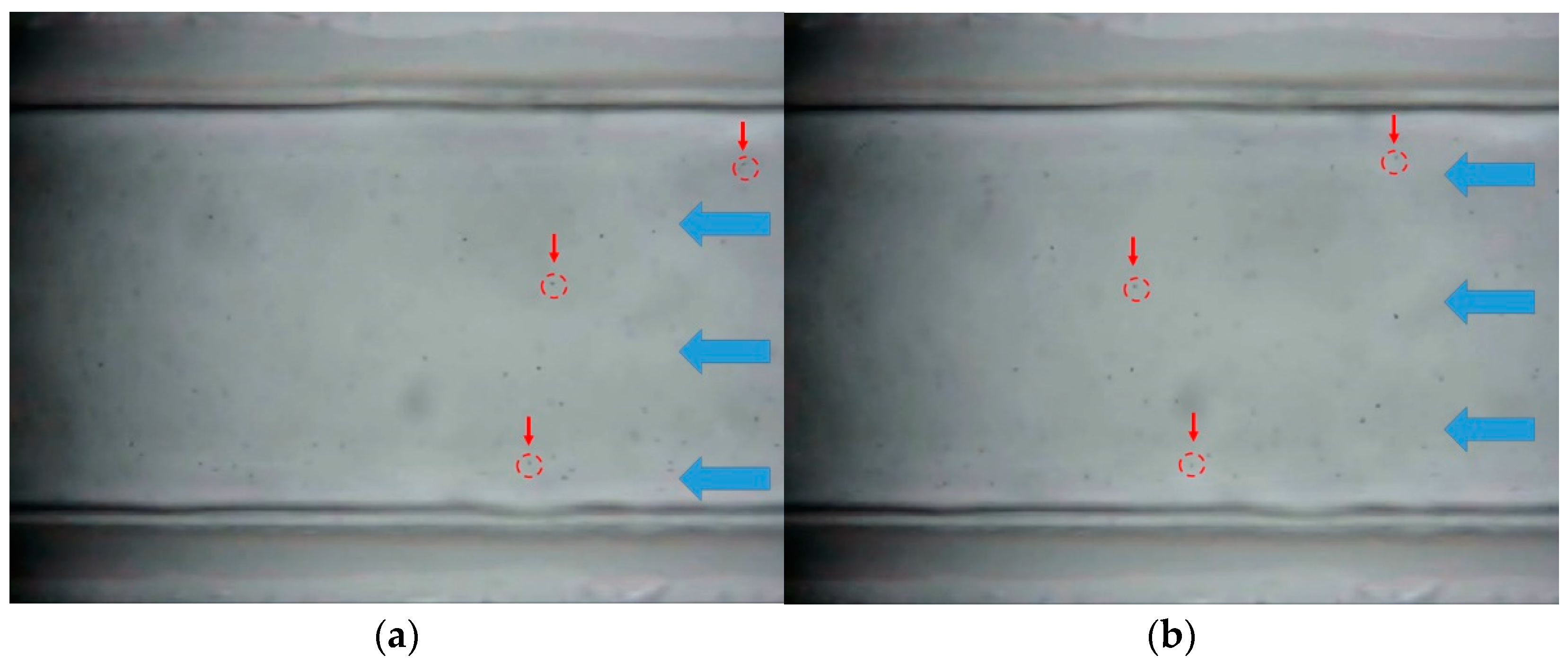 Applsci 11 04328 g005 Applsci 11 04328 g005