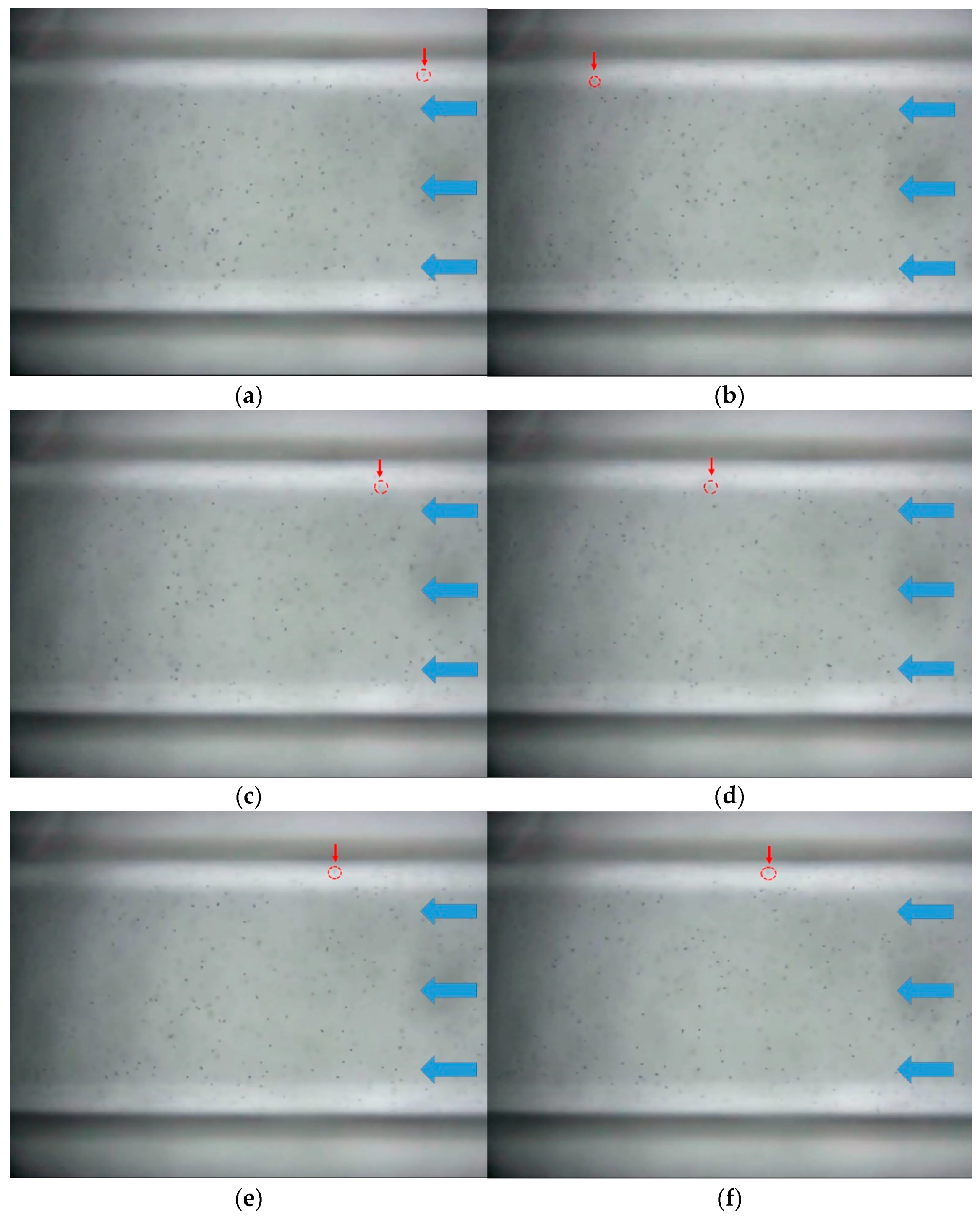 Applsci 11 04328 g006 Applsci 11 04328 g006