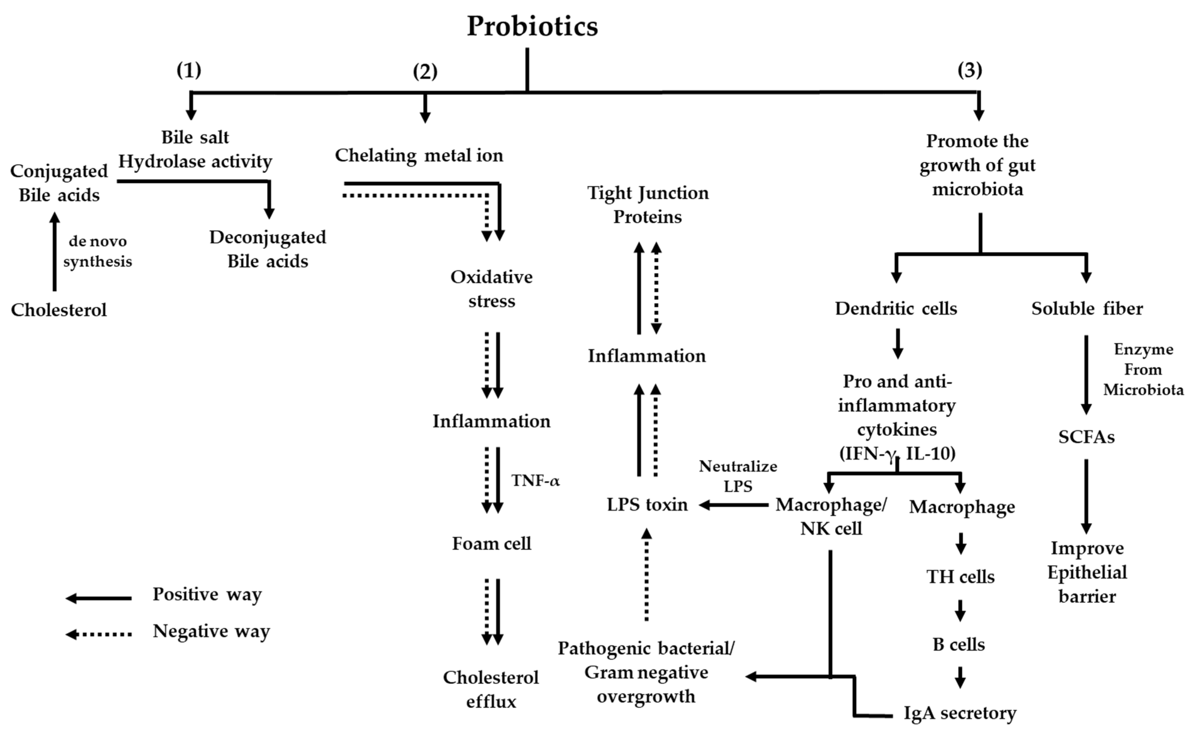 Applsci 11 04333 g004 Applsci 11 04333 g004