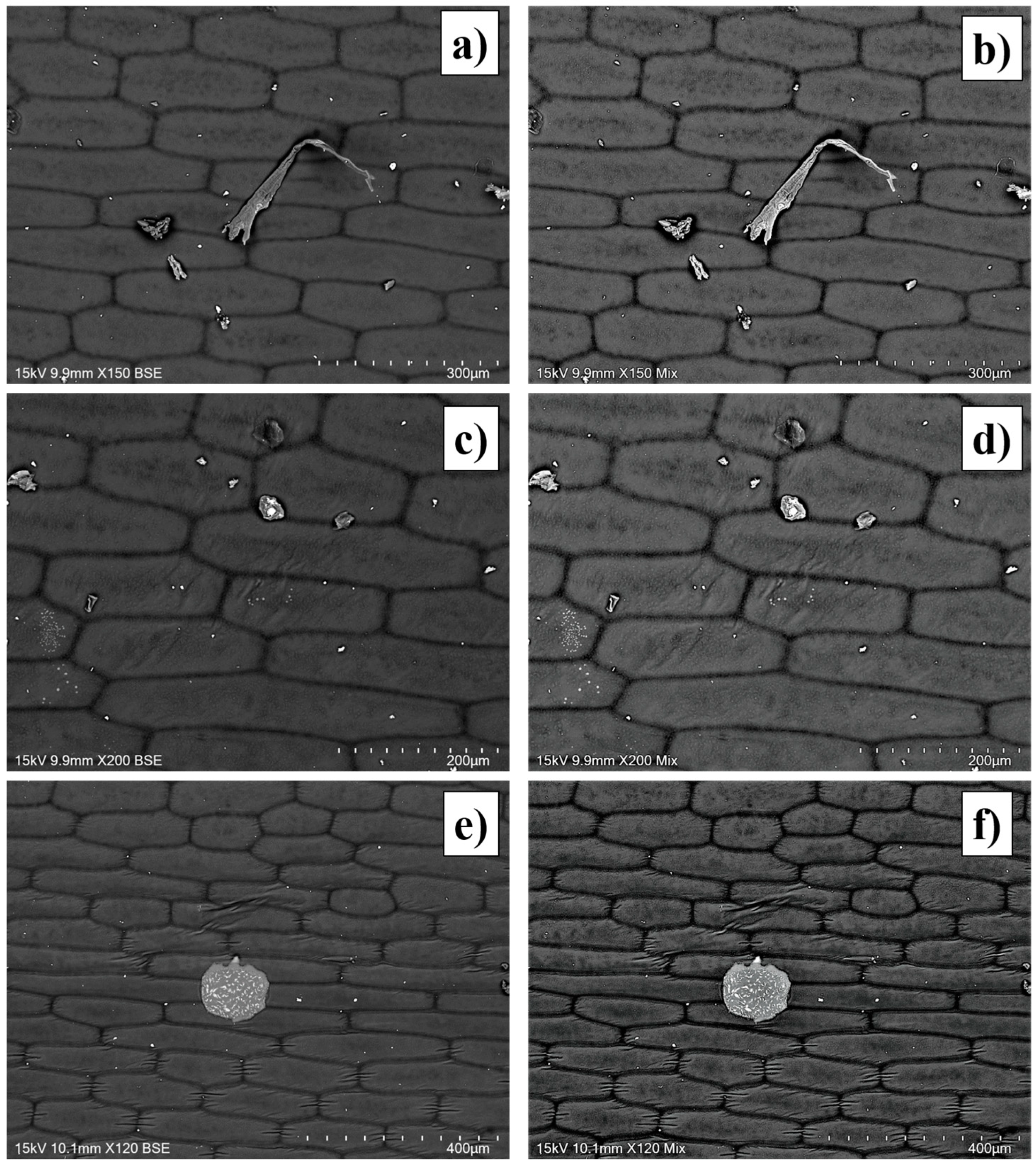 Applsci 11 04348 g005 Applsci 11 04348 g005