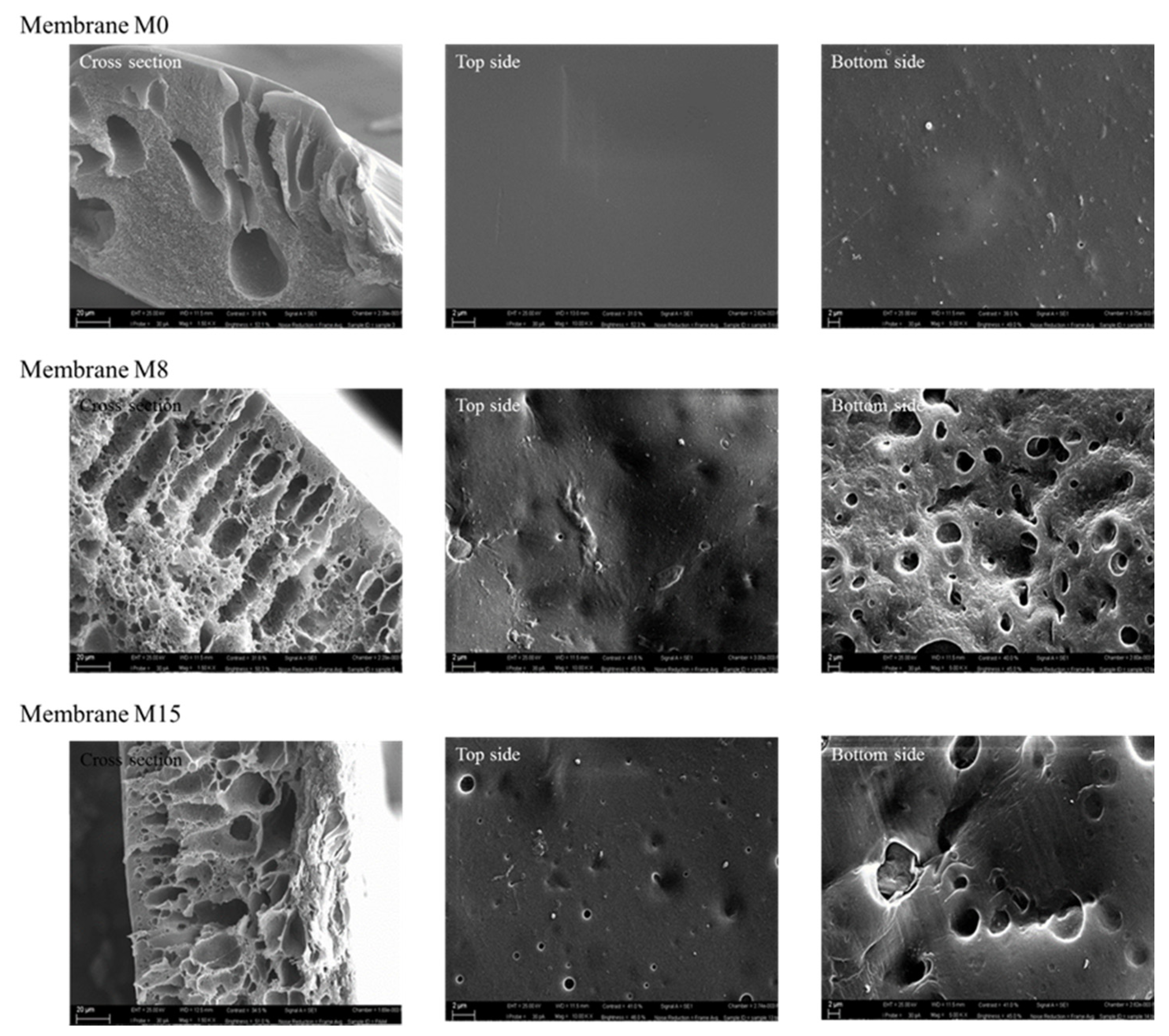 Applsci 11 04354 g003 Applsci 11 04354 g003