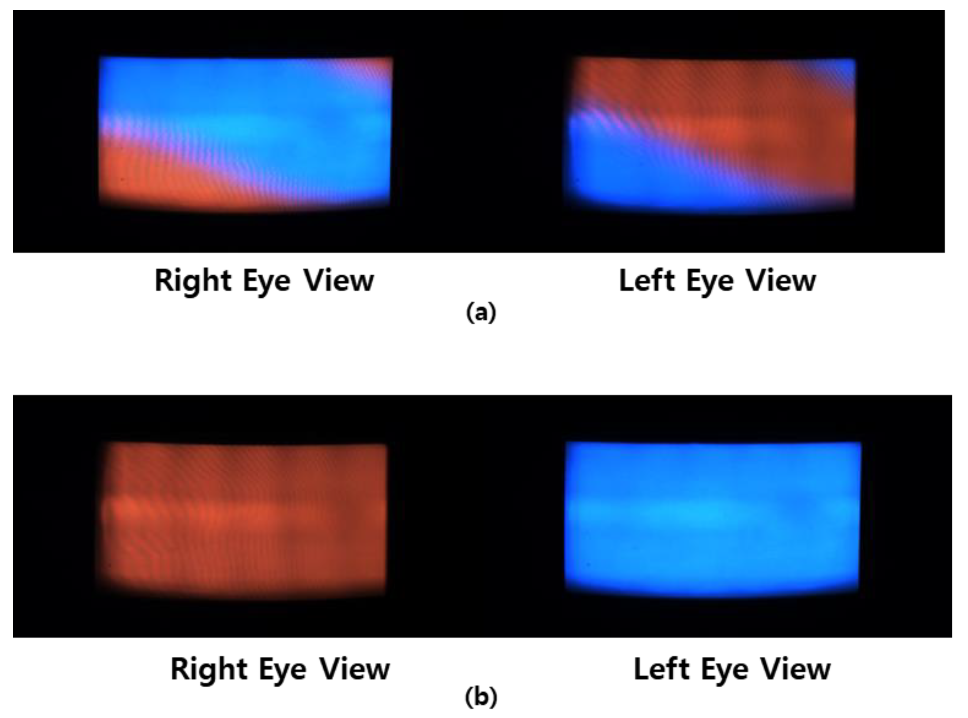 free eye tracking