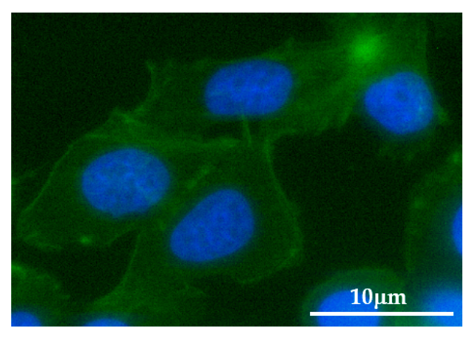 Applsci 11 04369 g003