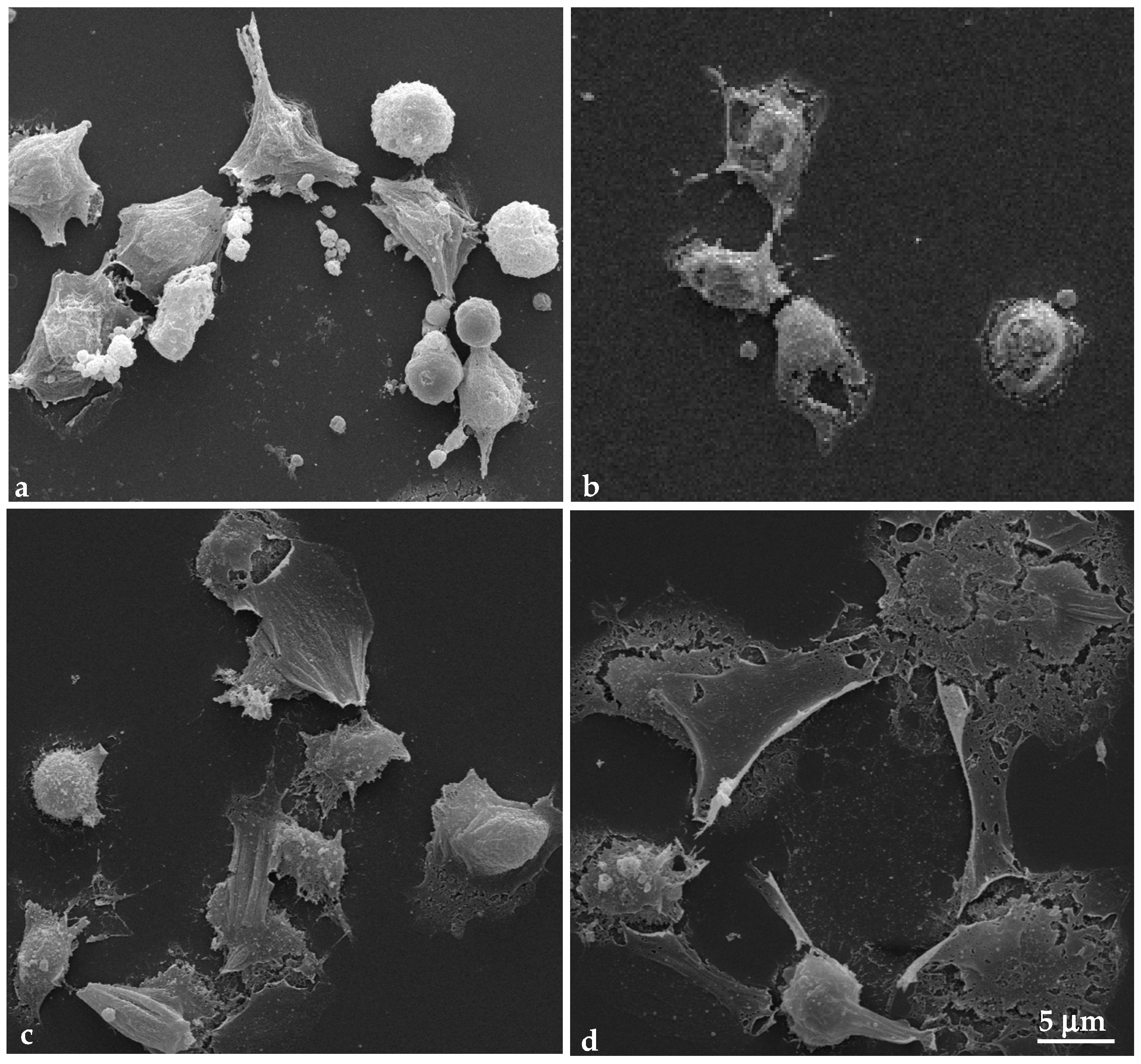 Applsci 11 04369 g007