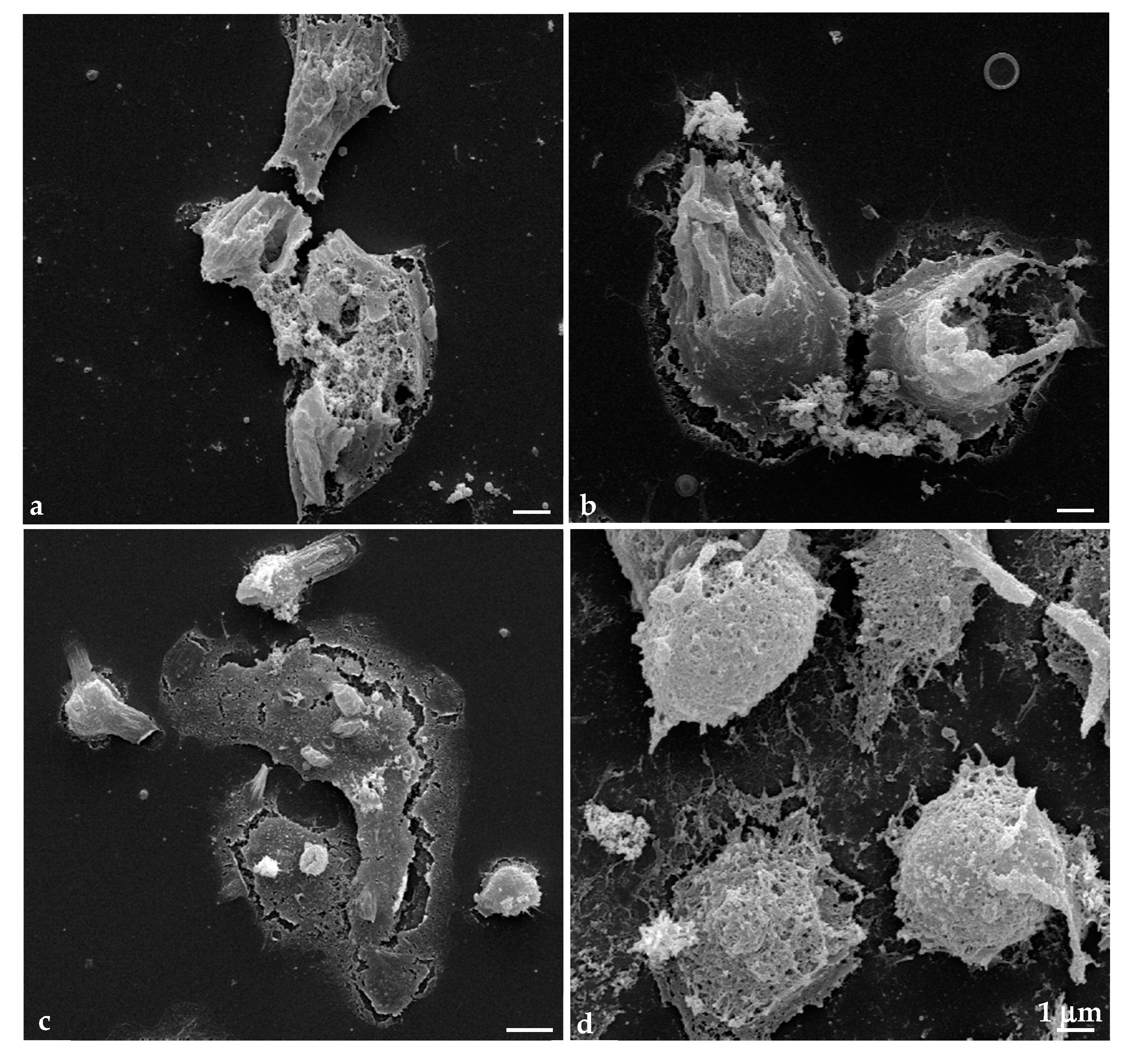 Applsci 11 04369 g008