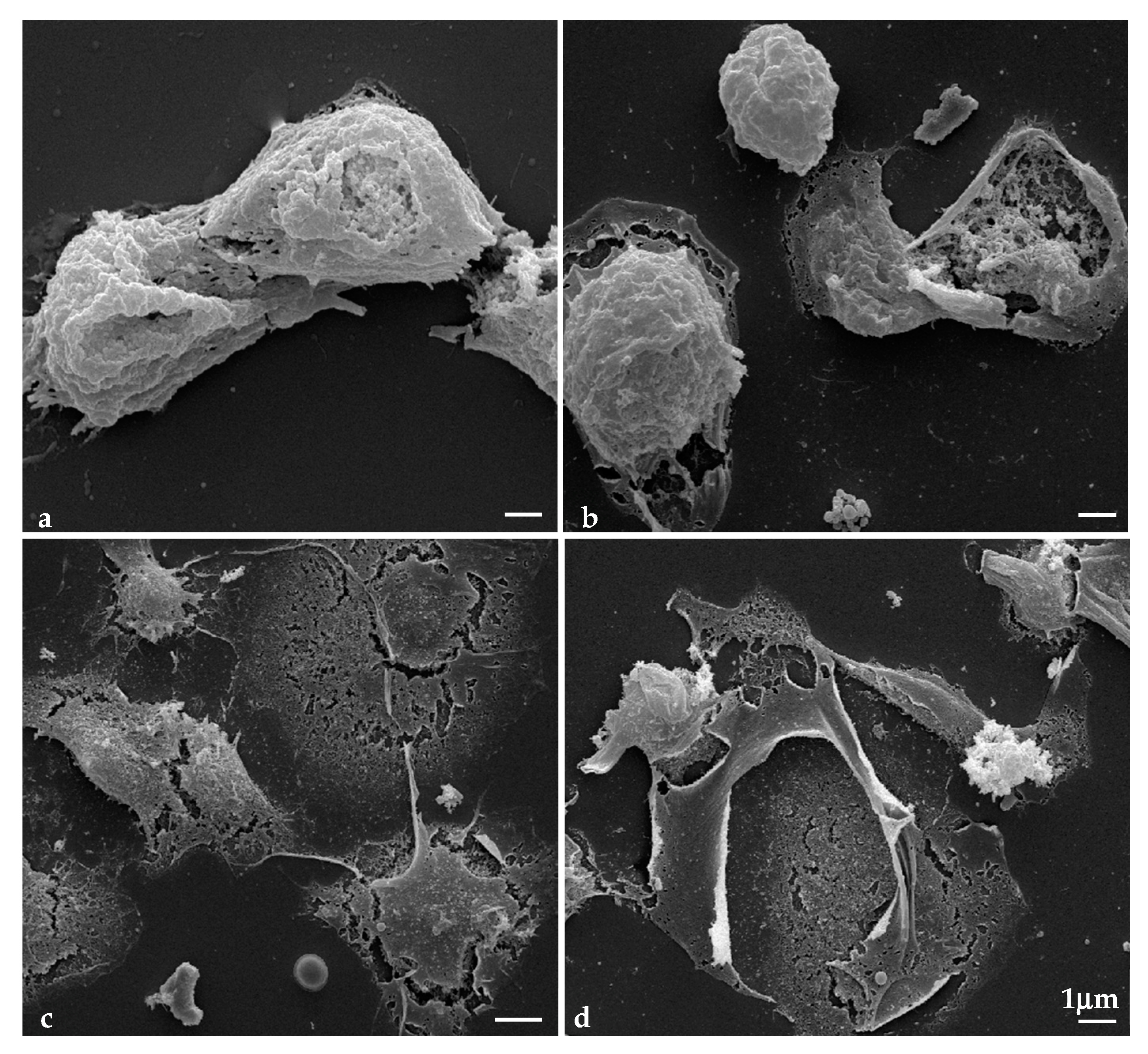 Applsci 11 04369 g009