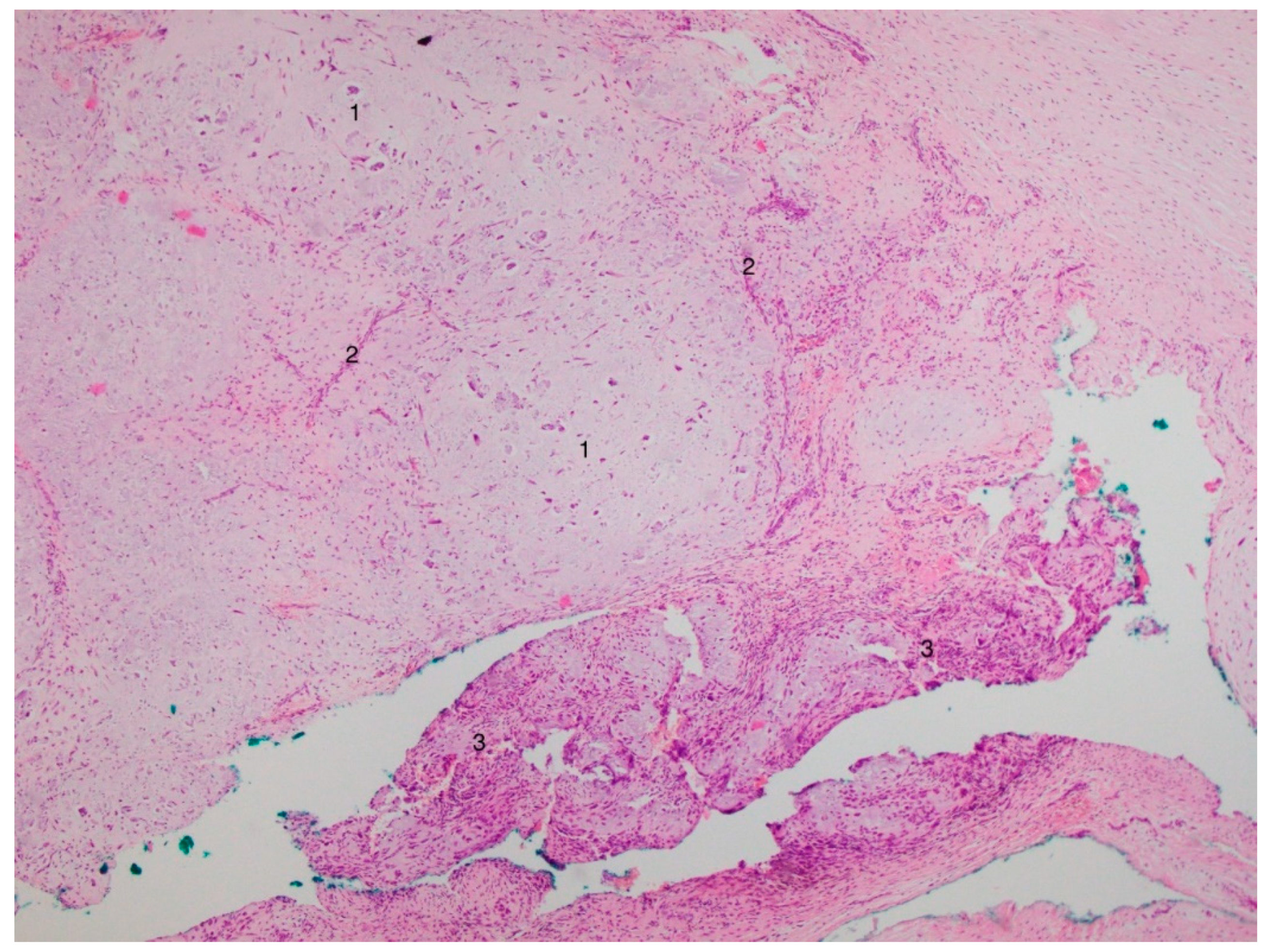 Applsci 11 04373 g004 Applsci 11 04373 g004